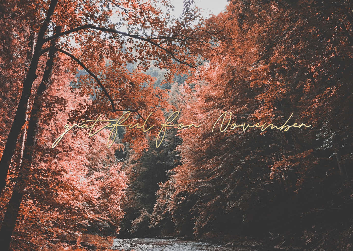 November Desktop, autumn forest, rust-colored leaves, HD Desktop Wallpaper