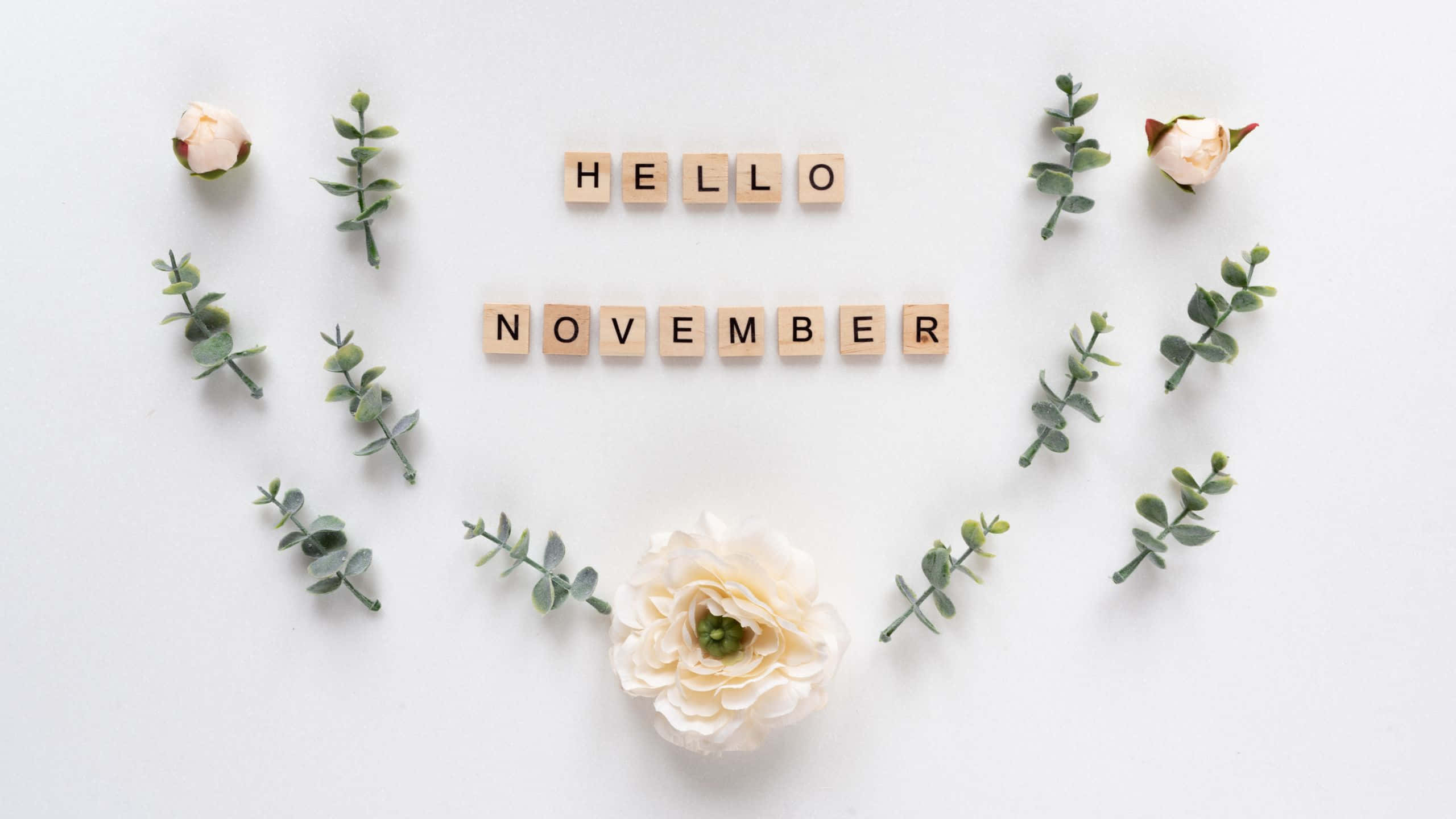November Desktop, wooden letter tiles, hello november, 2K Desktop Wallpaper