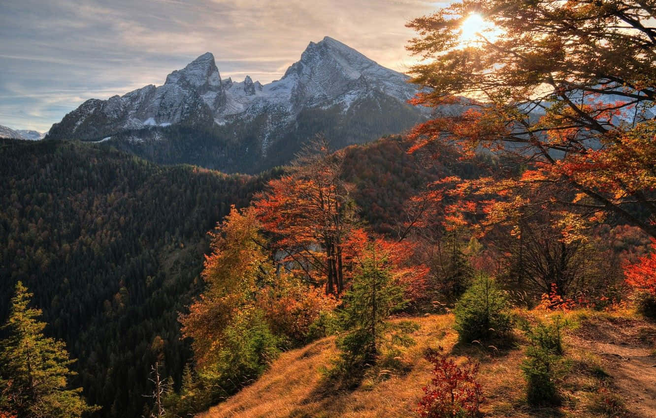 November Fall, autumn trees, snow-capped mountains, HD Desktop Wallpaper