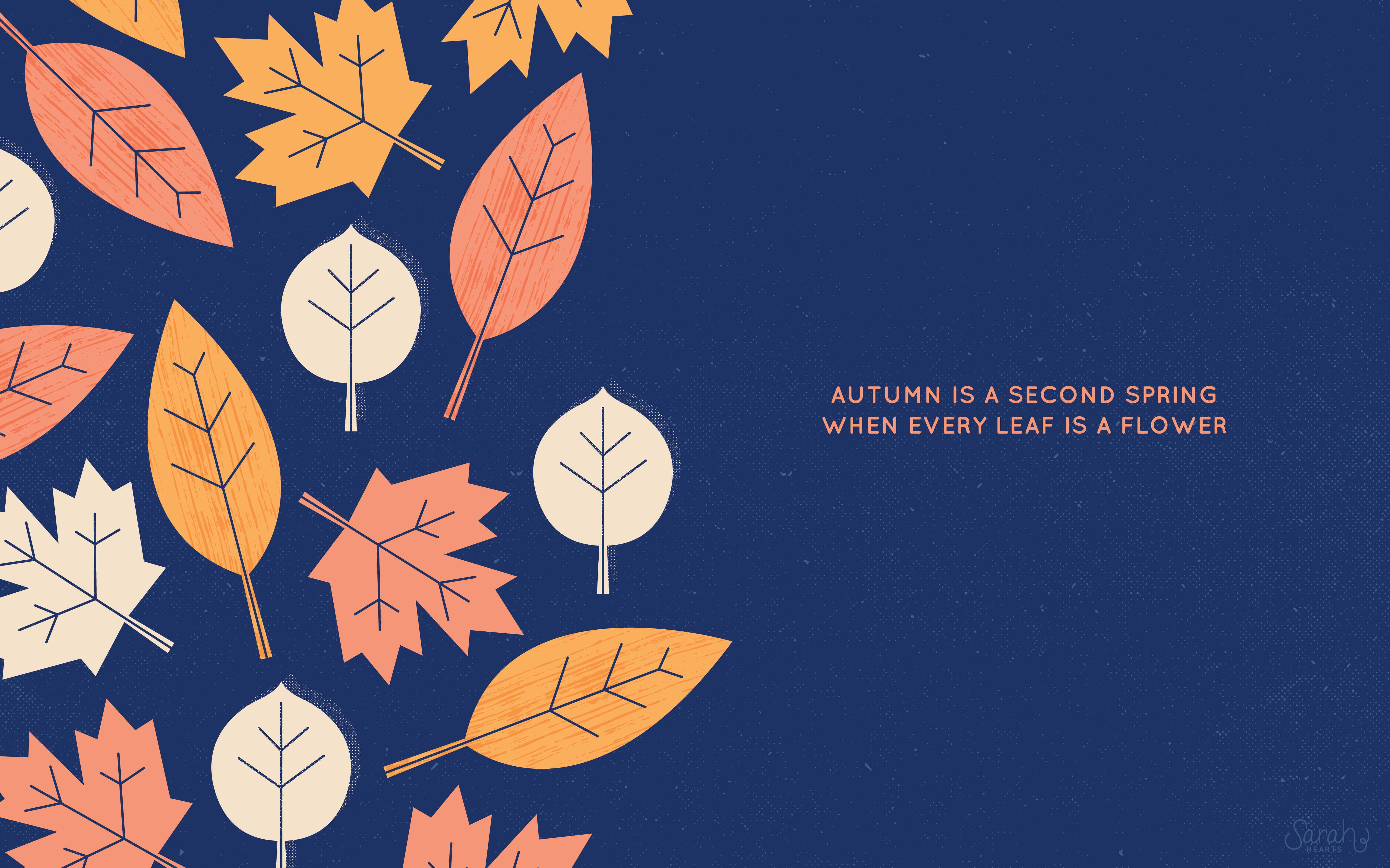 November Fall, orange, cream, 5K Desktop Wallpaper