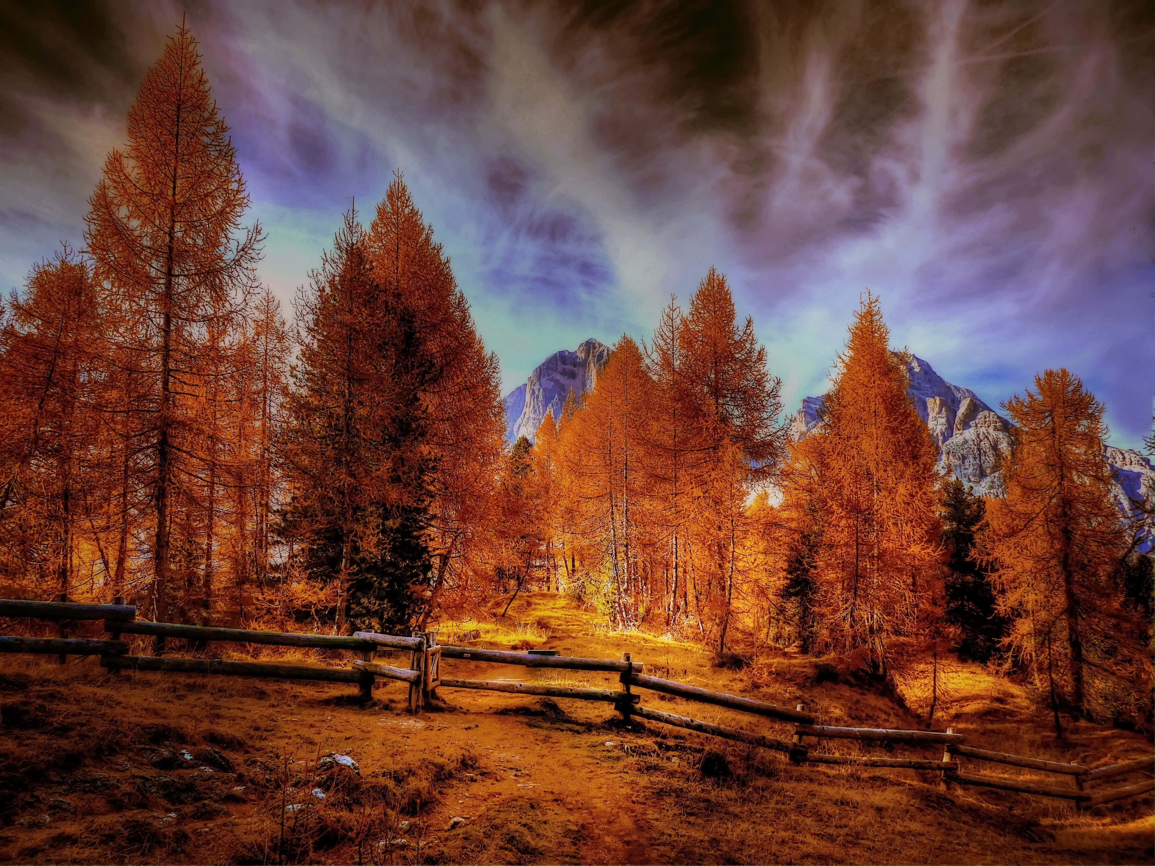 November Fall, golden autumn forest, snow-capped mountains, 4K Desktop Wallpaper