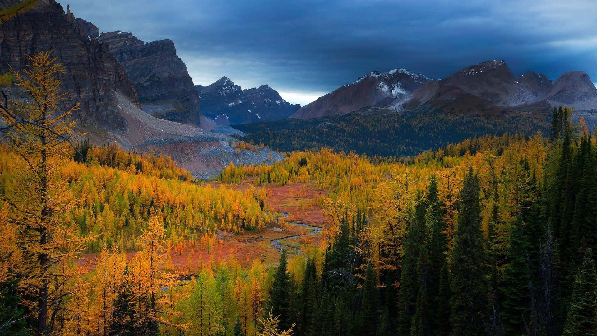 November Fall, autumn forest, winding river, Full HD Desktop Wallpaper