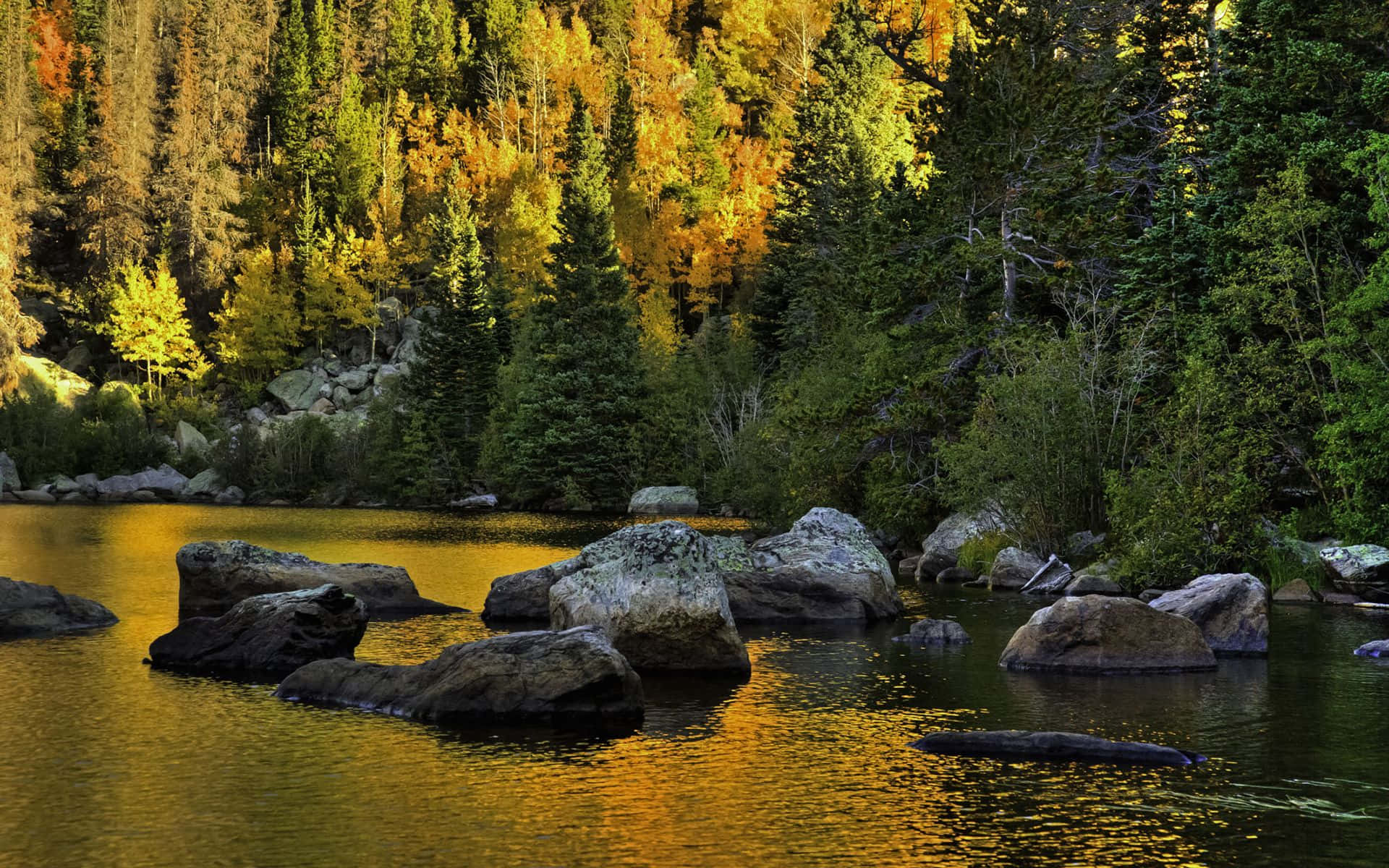 November Fall, forest, river, Full HD Desktop Wallpaper
