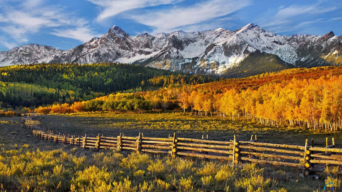 November Fall, golden aspen groves, snow-capped mountains, HD Desktop Wallpaper