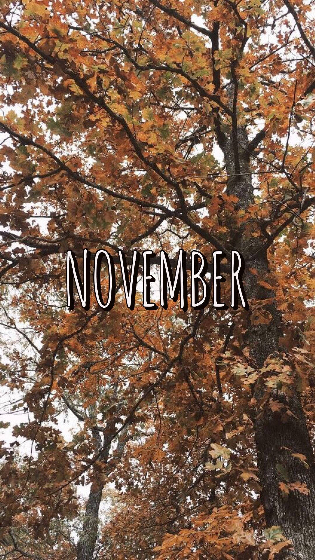November, iPhone, autumn leaves, Full HD Phone Wallpaper