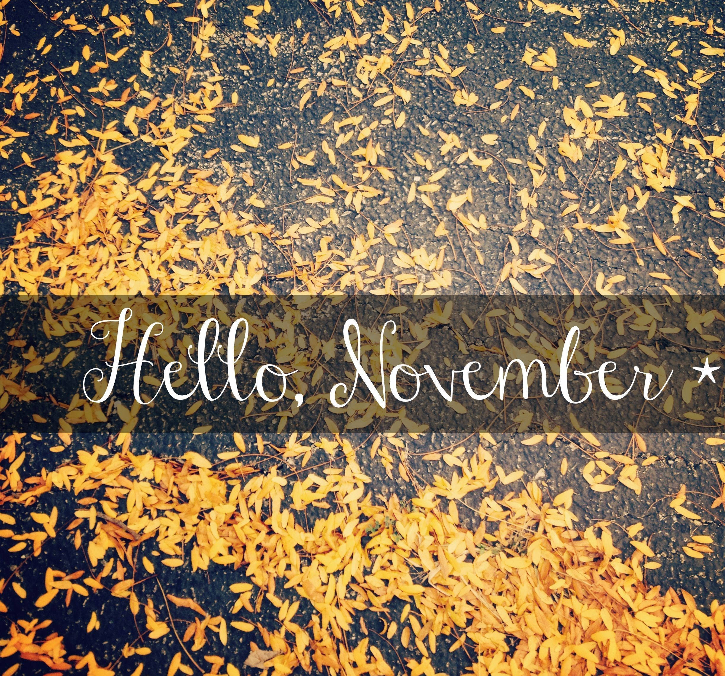 November iPhone, yellow leaves, golden autumn leaves, Full HD Desktop Wallpaper