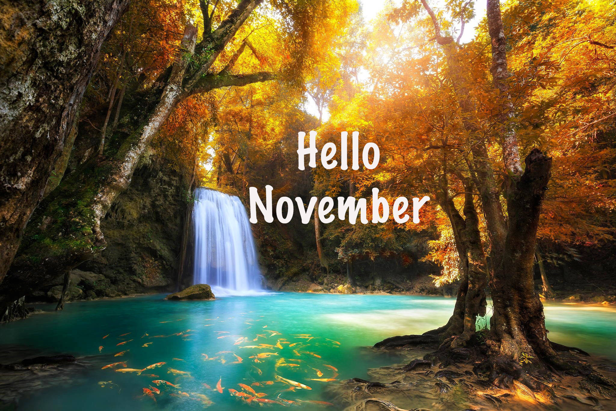 November iPhone, turquoise pool, golden autumn trees, Full HD Desktop Wallpaper