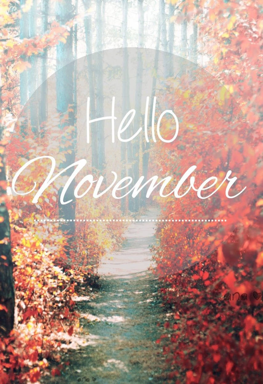 November iPhone, autumn leaves, red and orange, SD Phone Wallpaper