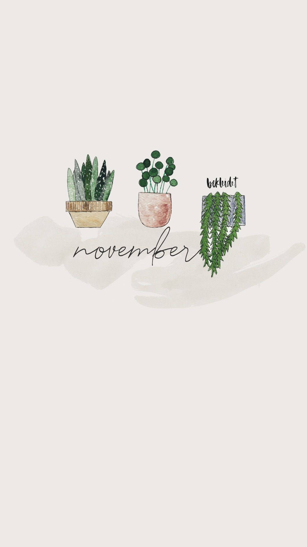 November iPhone, bokhvidt, soft beige, HD Phone Wallpaper
