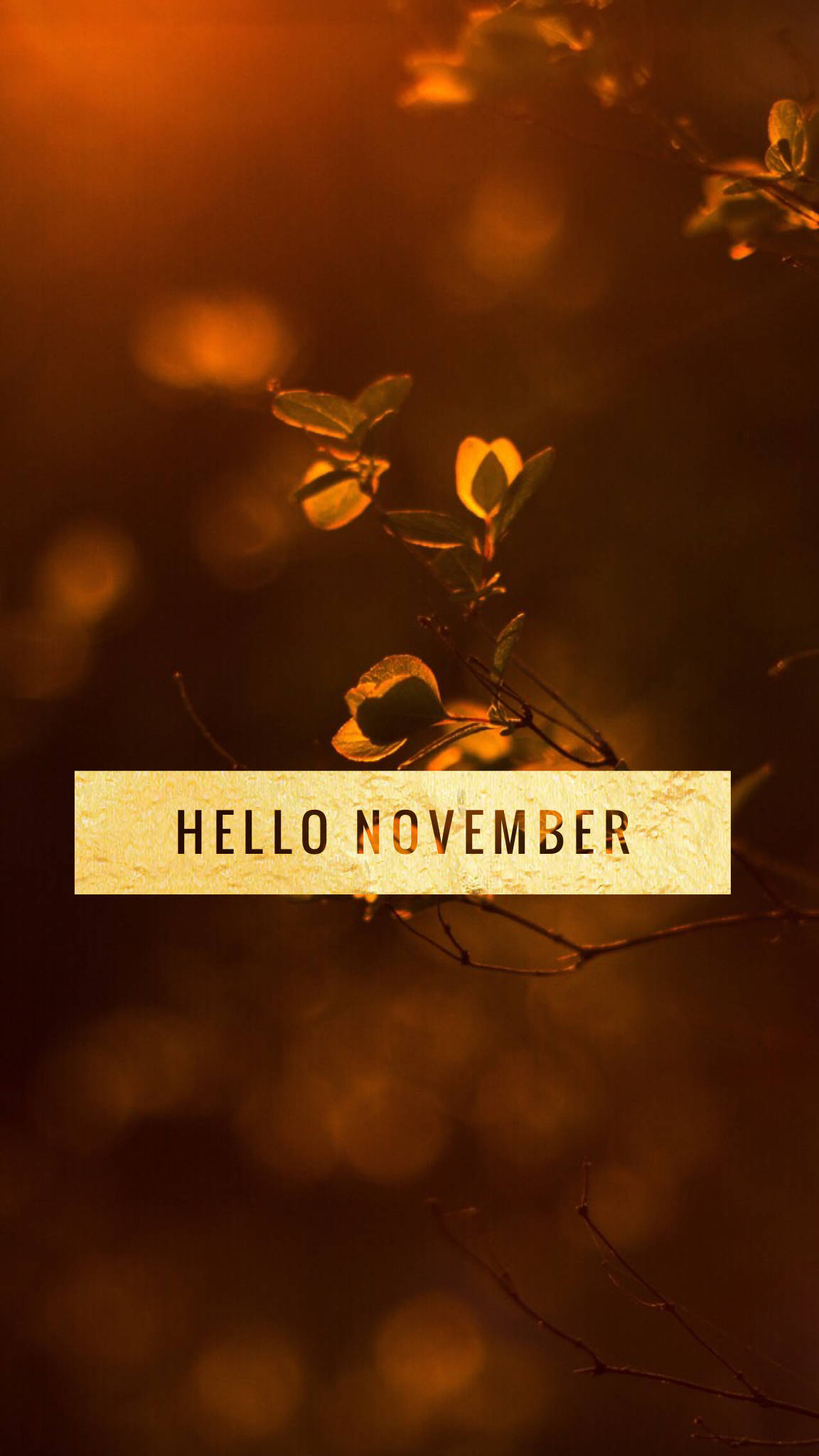 November iPhone, Hello November, golden autumn leaves, Full HD Phone Wallpaper