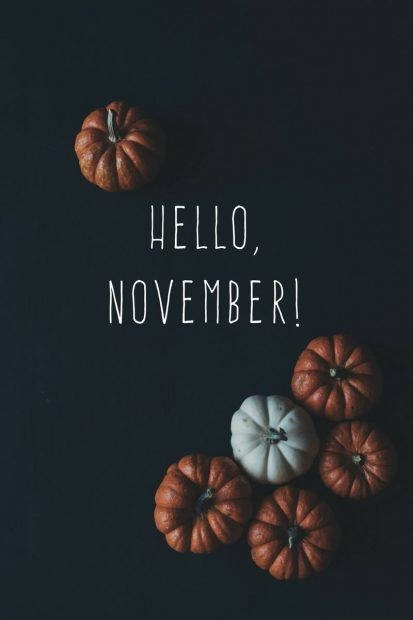 November iPhone, pumpkins, autumn hues, SD Phone Wallpaper