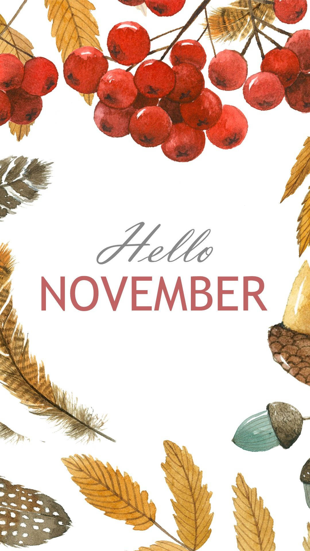 November iPhone, autumn leaves, acorns, Full HD Phone Wallpaper