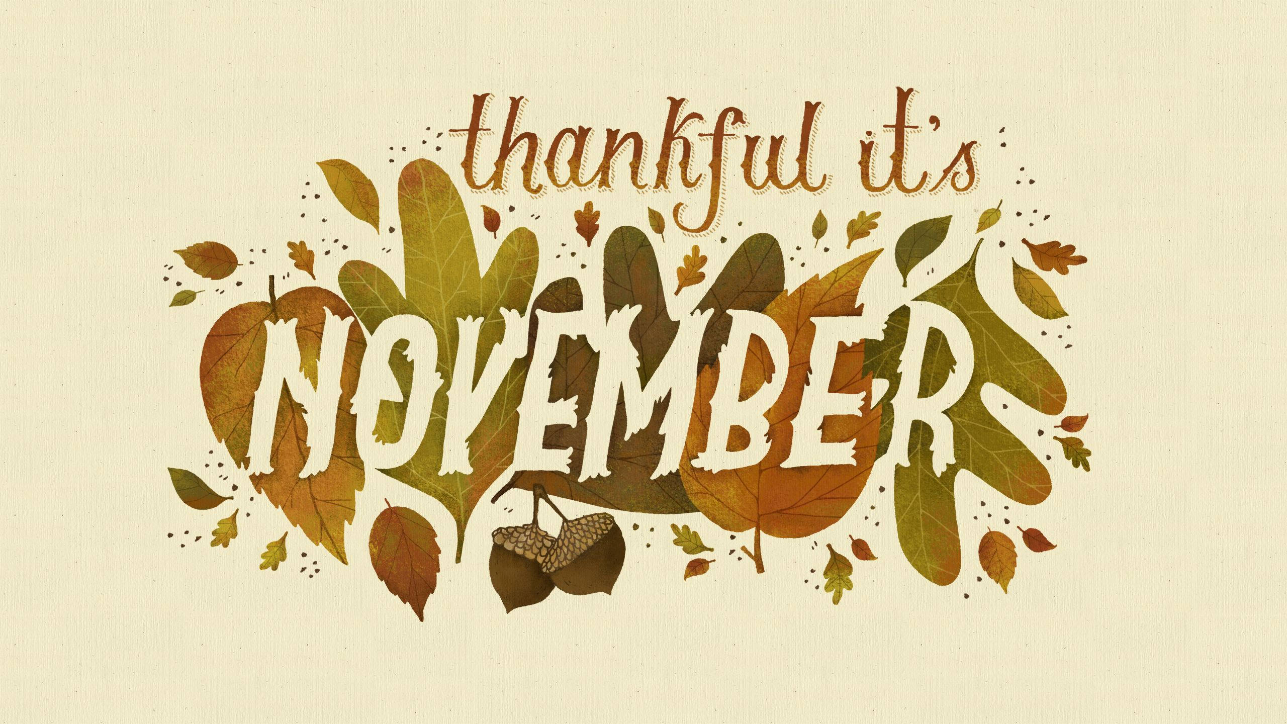 Thankful It's November, autumn leaves, acorns, 2K Desktop Wallpaper
