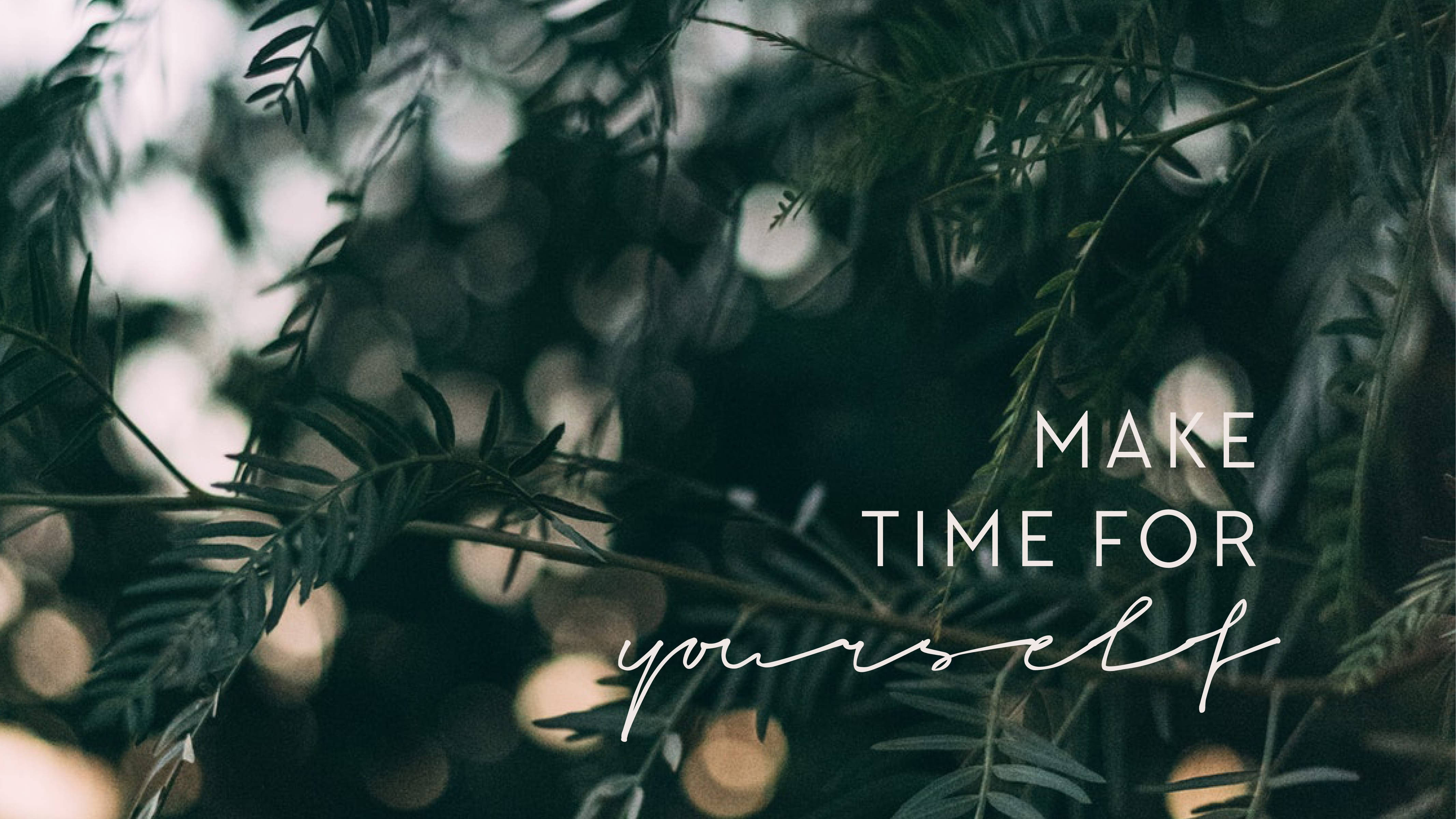 November, dark green fern leaves, soft glowing bokeh lights, 4K Desktop Wallpaper