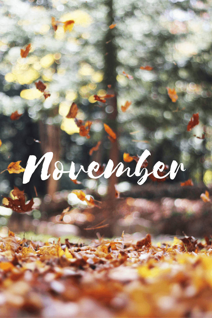 November, autumn leaves, sunlit forest, SD Phone Wallpaper
