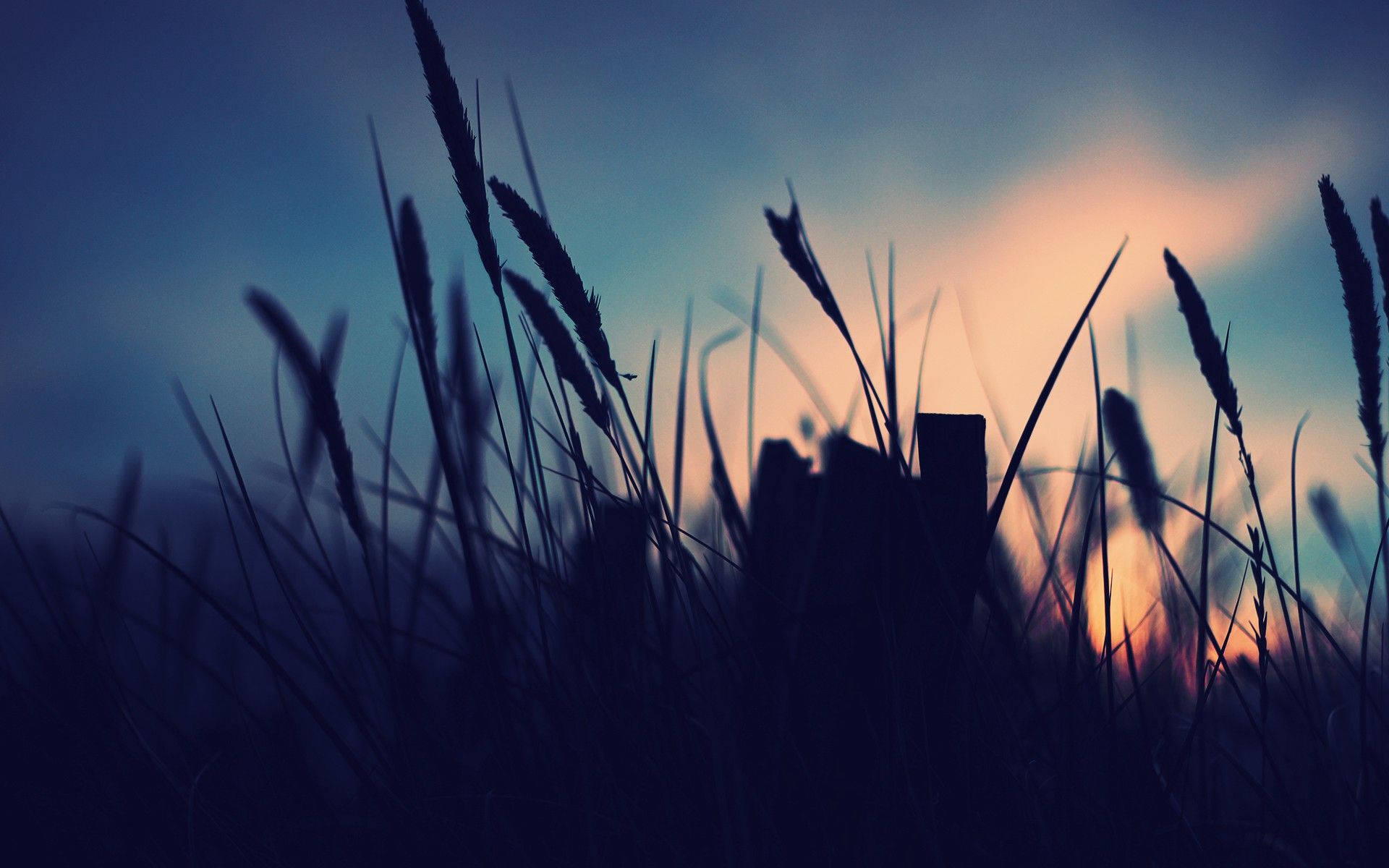 November, blue sunset, twilight sky, Full HD Desktop Wallpaper
