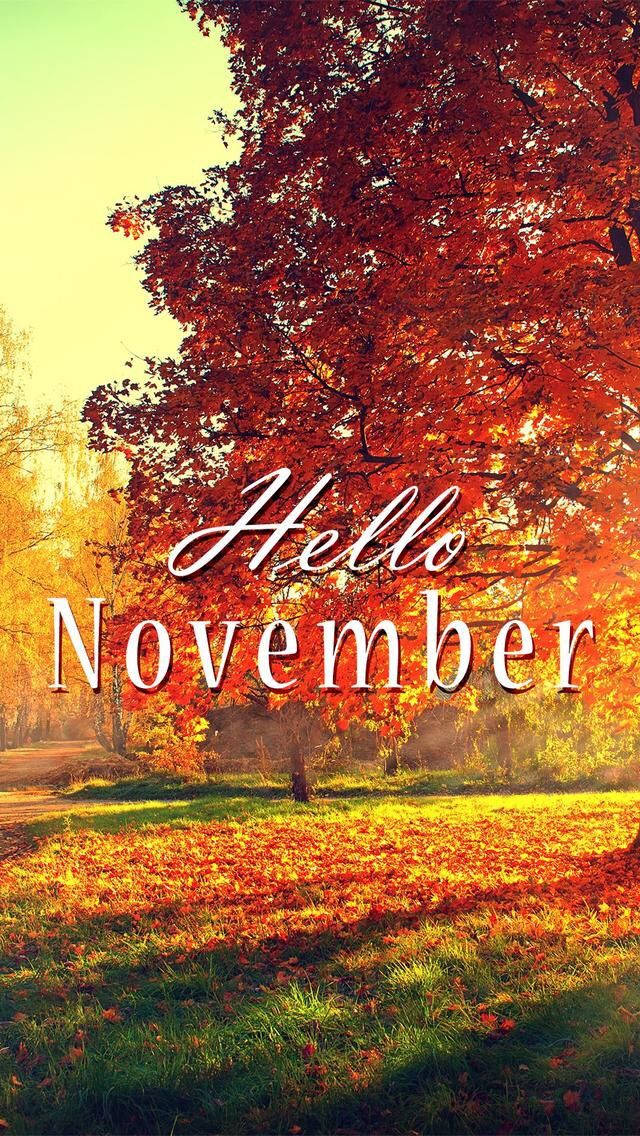 November, iPhone, autumn tree, SD Phone Wallpaper