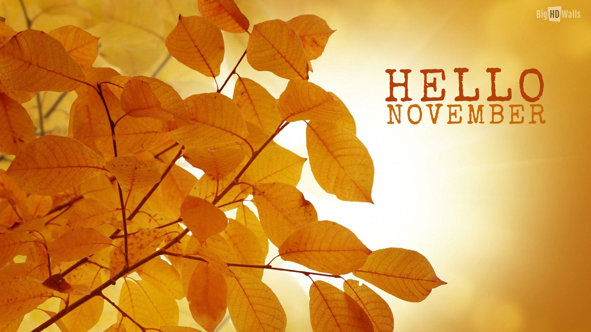 November, Hello November, golden autumn leaves, Full HD Desktop Wallpaper