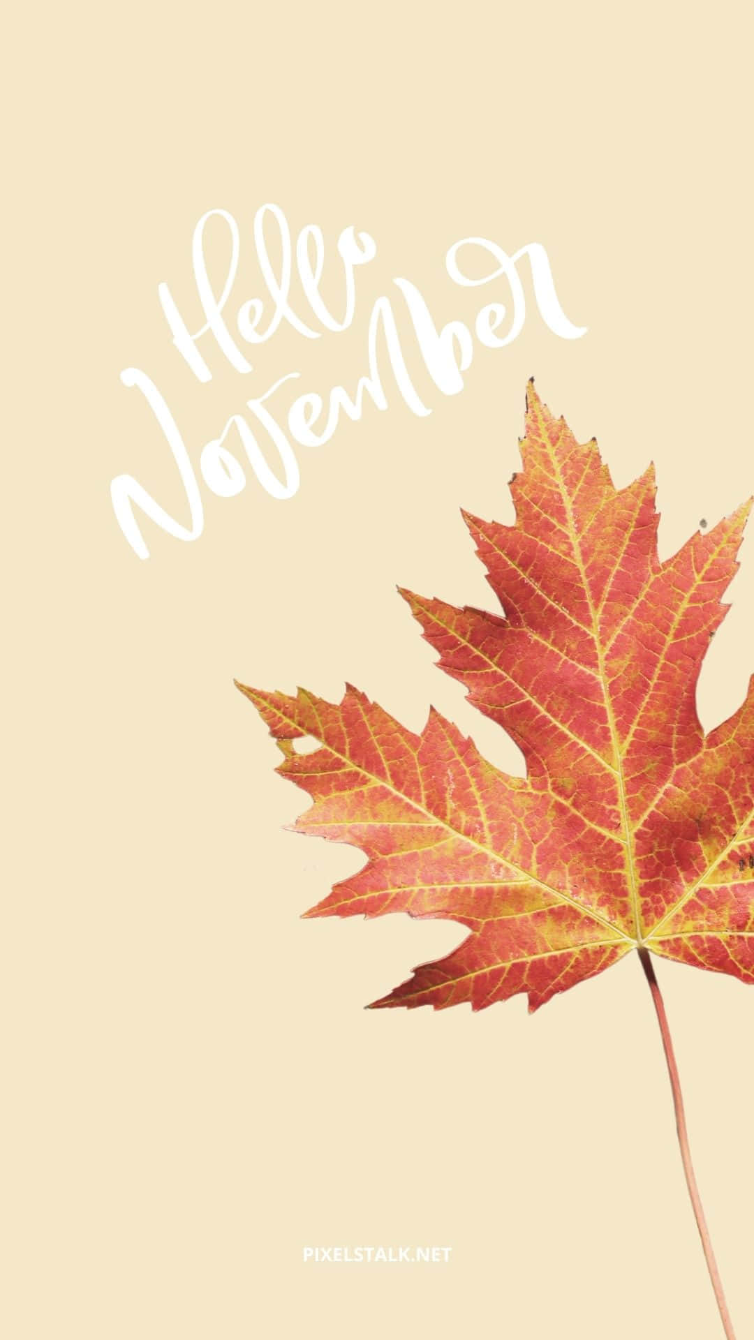 Aesthetic November, maple leaf, red and orange, Full HD Phone Wallpaper