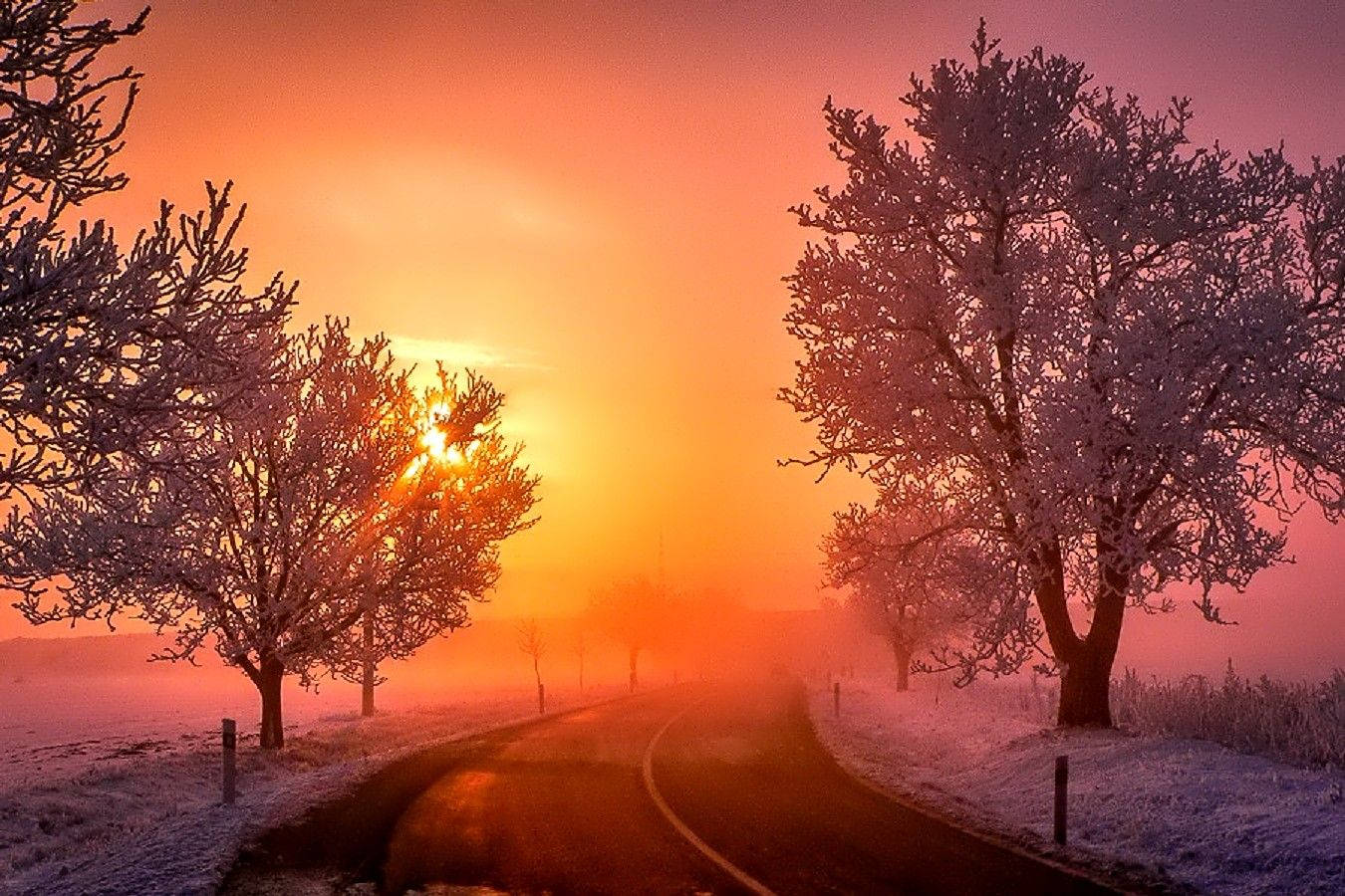 November, autumn road, frosty winter landscape, HD Desktop Wallpaper
