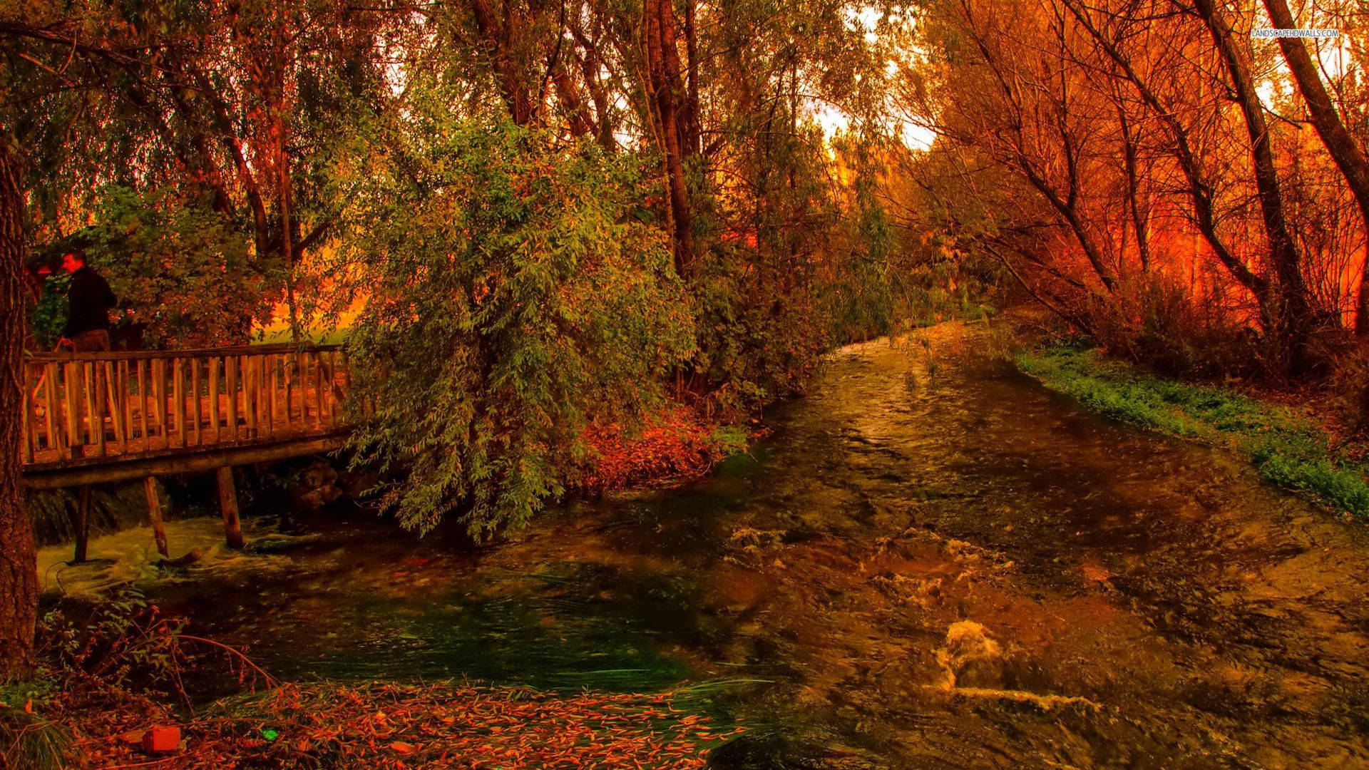 November, autumn creek bridge, fiery autumn foliage, Full HD Desktop Wallpaper