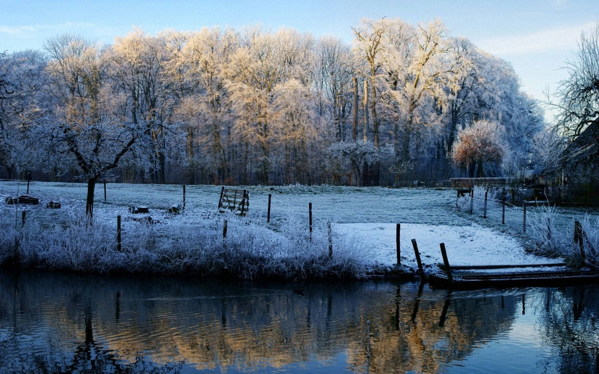 November, frost-covered trees, golden sunrise, Full HD Desktop Wallpaper