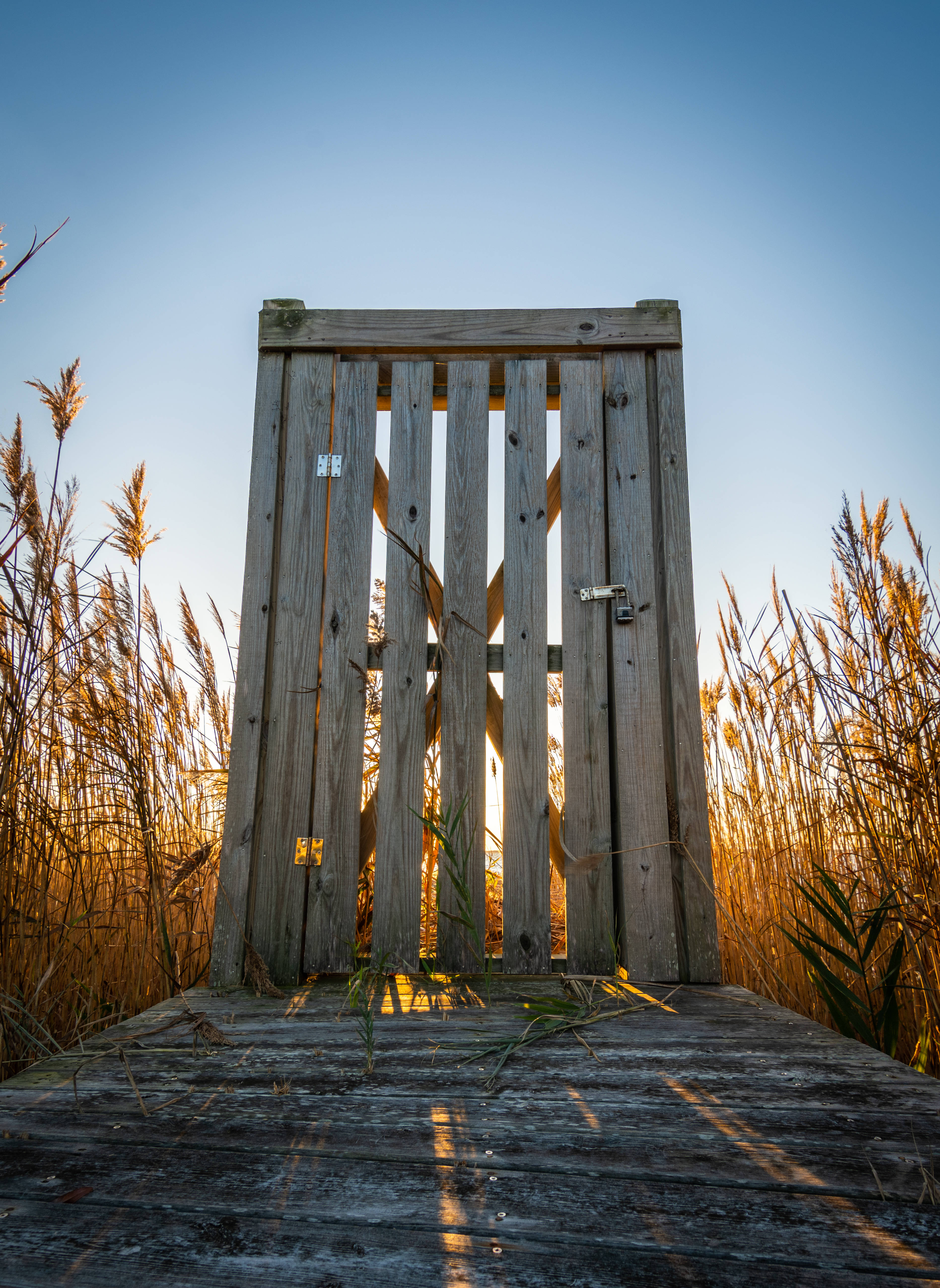 November, wooden gate, dock, 5K Phone Wallpaper