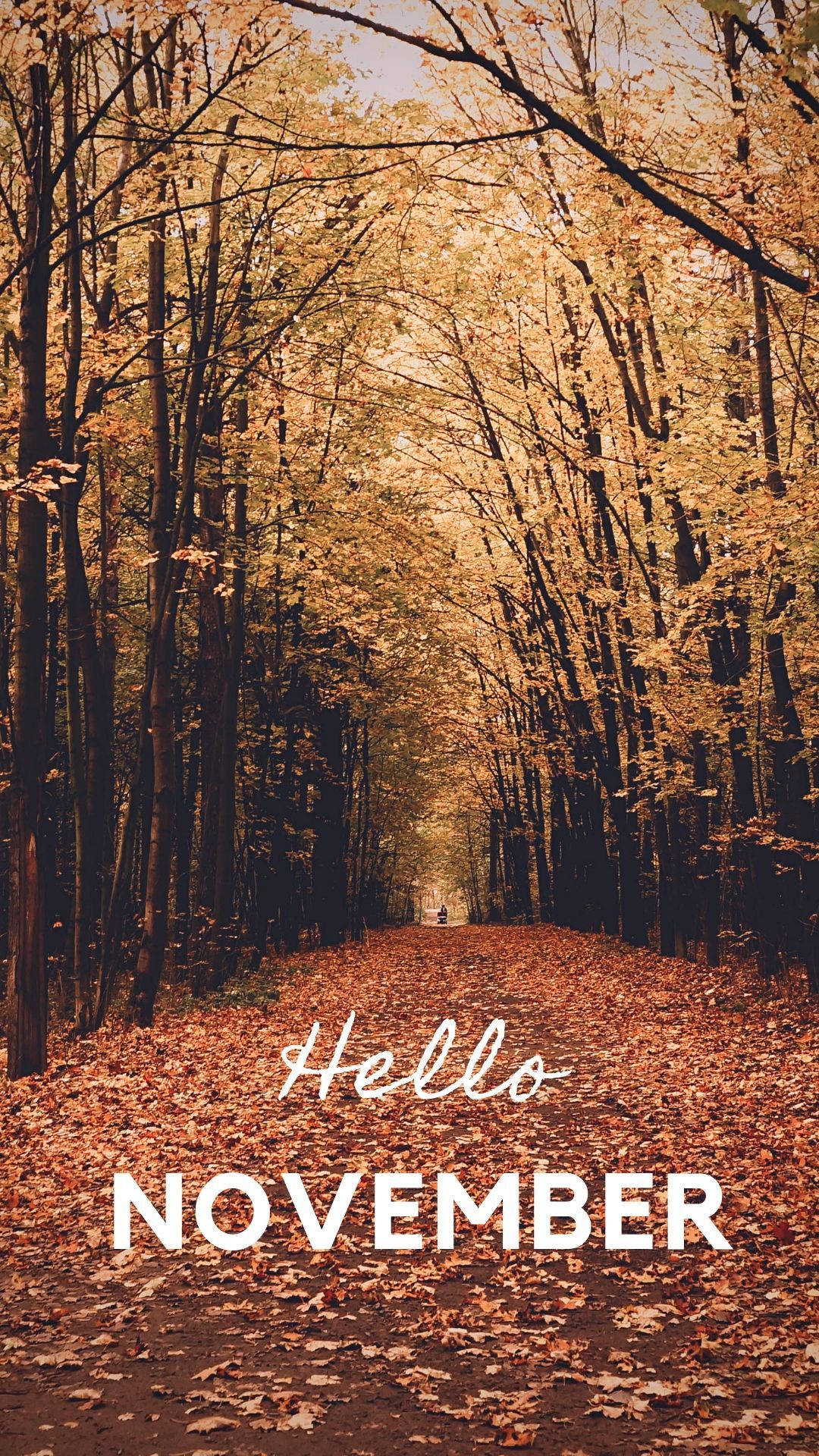 November, iPhone, golden autumn leaves, Full HD Phone Wallpaper
