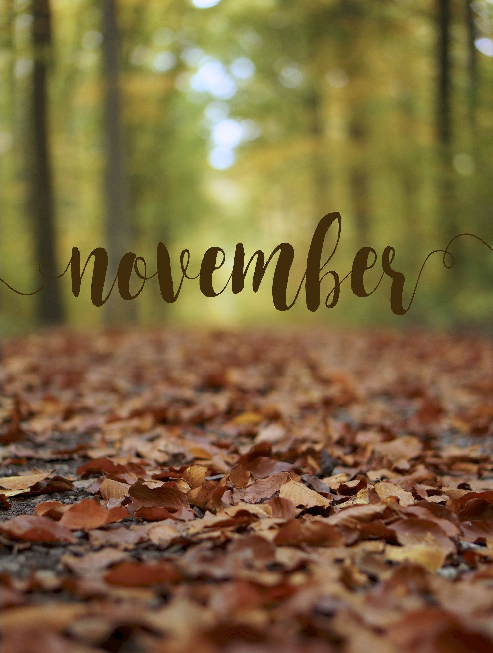 November, iPhone, screensaver theme, 2K Phone Wallpaper