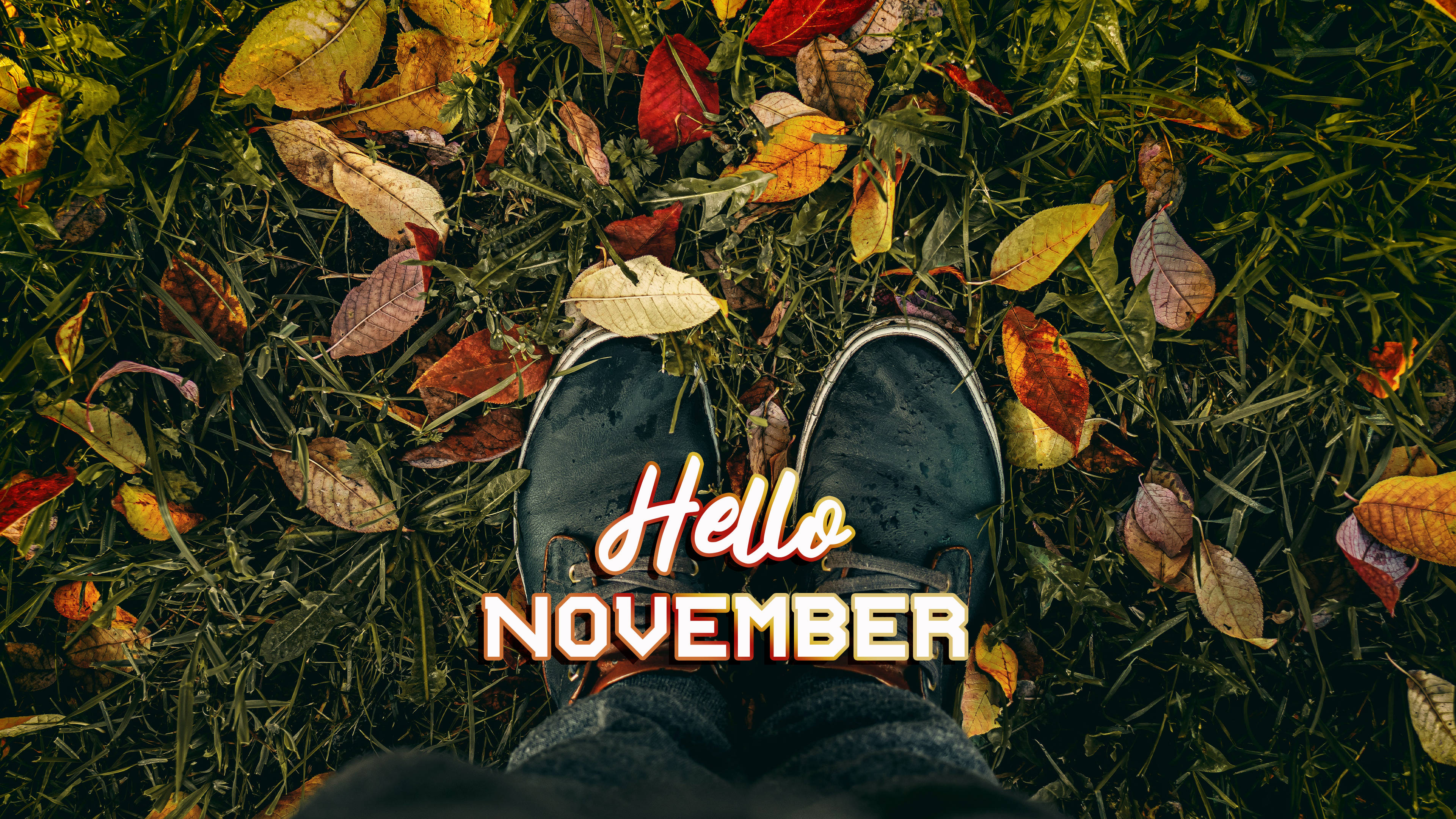 Hello November, dark sneakers, grass, 4K Desktop Wallpaper