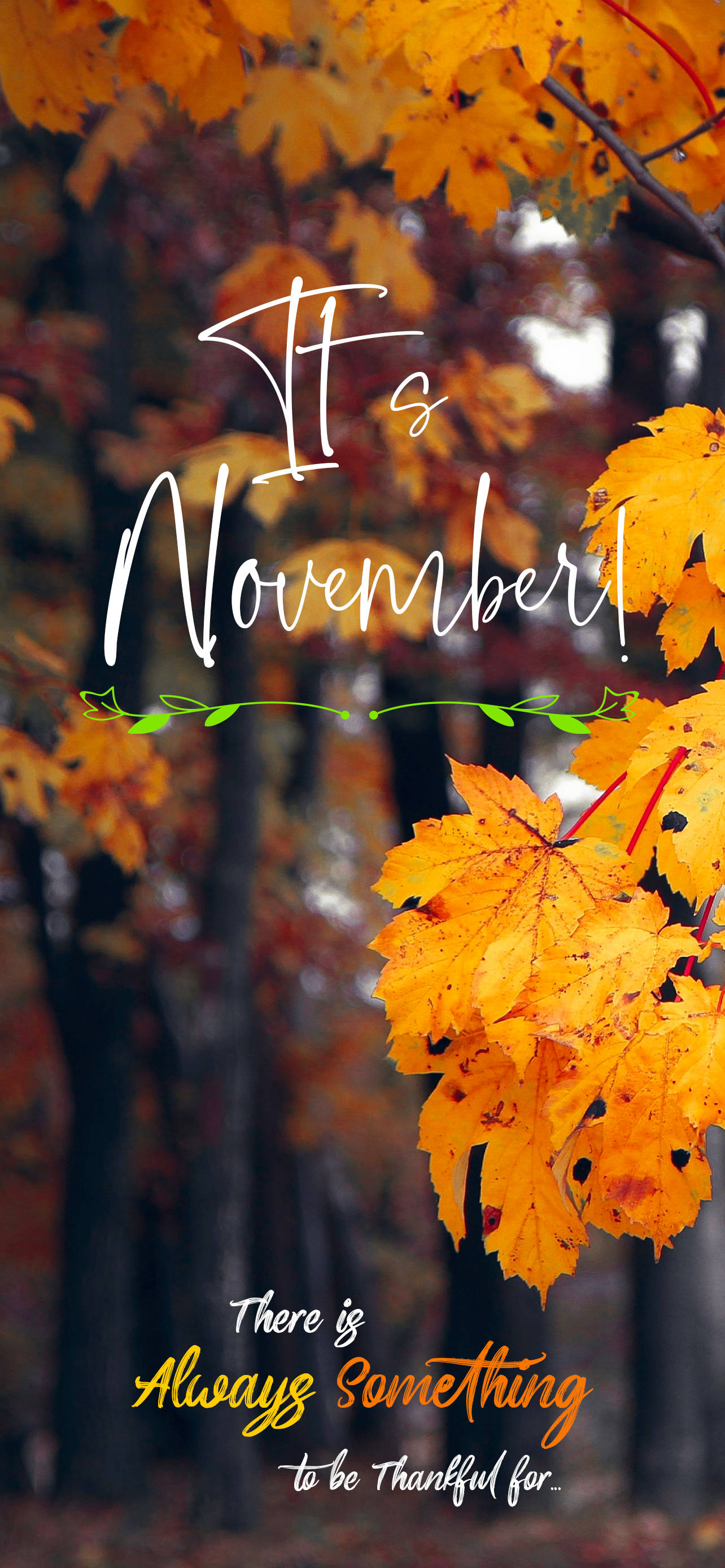 November, autumn trees, vibrant orange maple leaves, 2K Phone Wallpaper