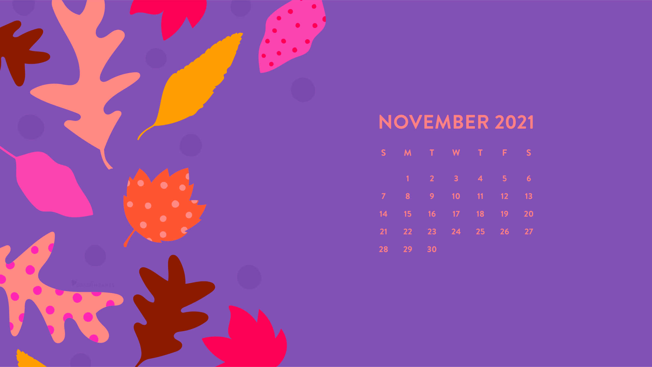November 2021 calendar, purple background, pink orange and yellow autumn leaves, 2K Desktop Wallpaper