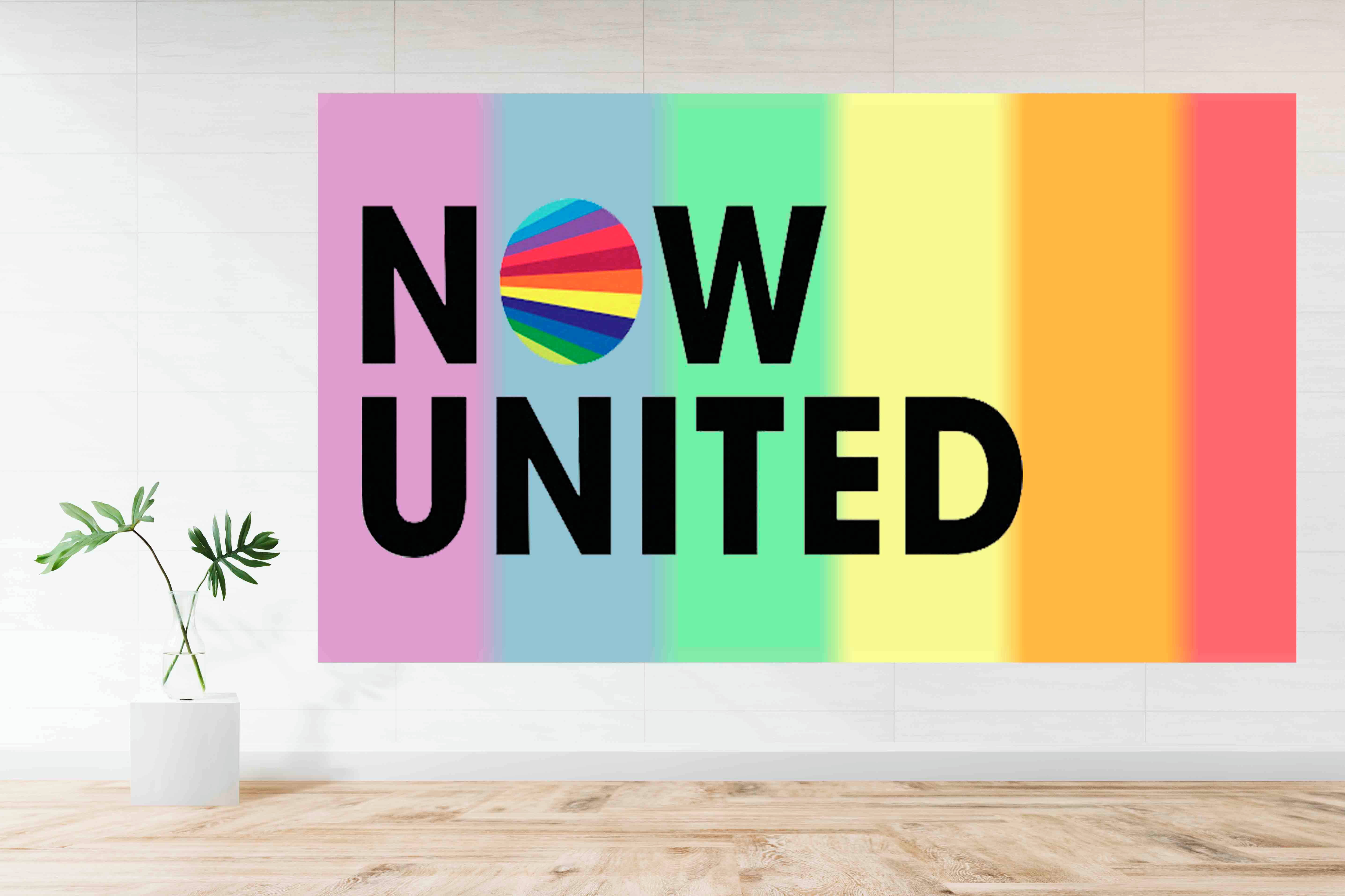 Now United, rainbow striped wall, potted plant, 5K Desktop Wallpaper
