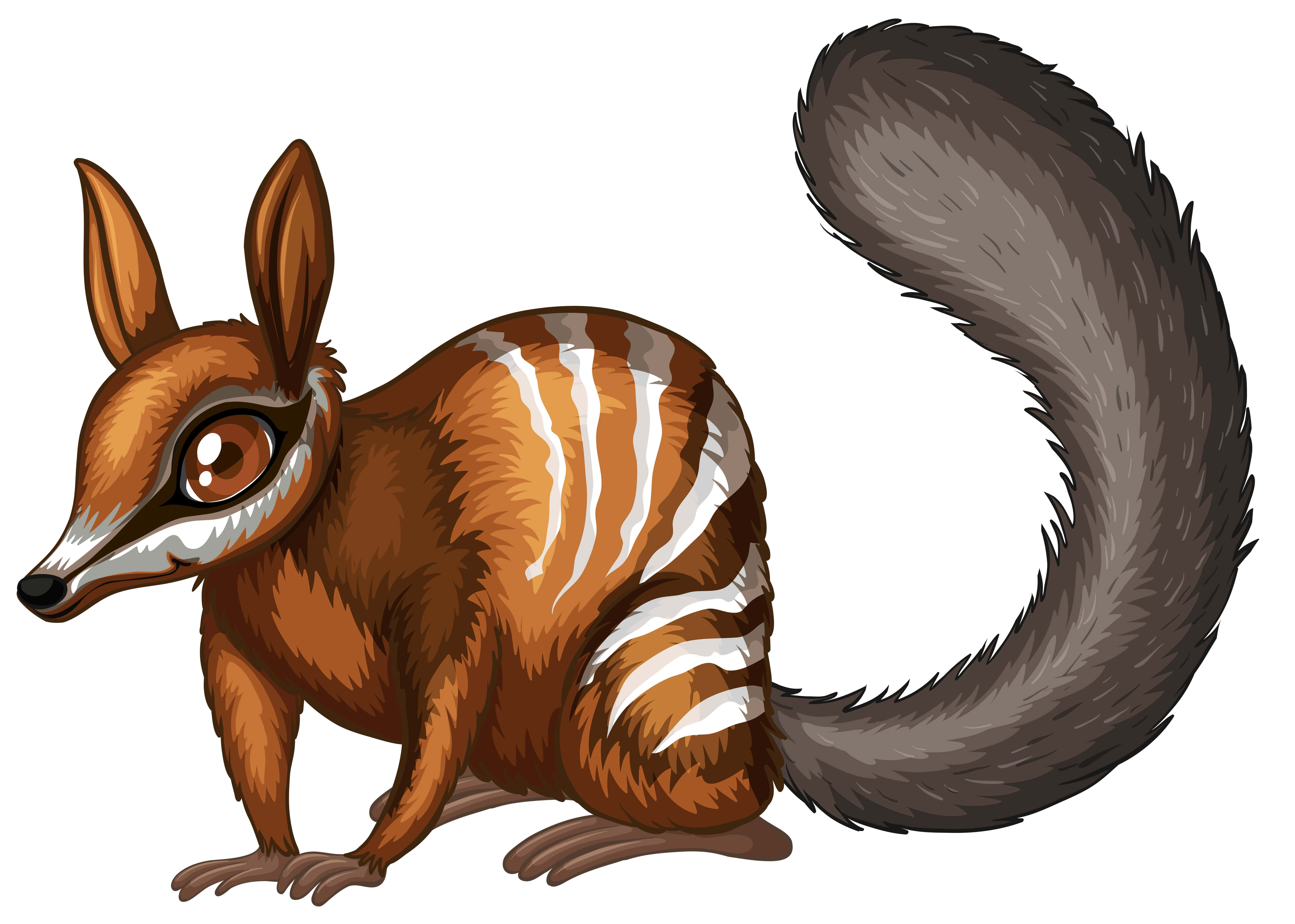 Numbat, cartoon illustration, brown fur, 5K Desktop Wallpaper