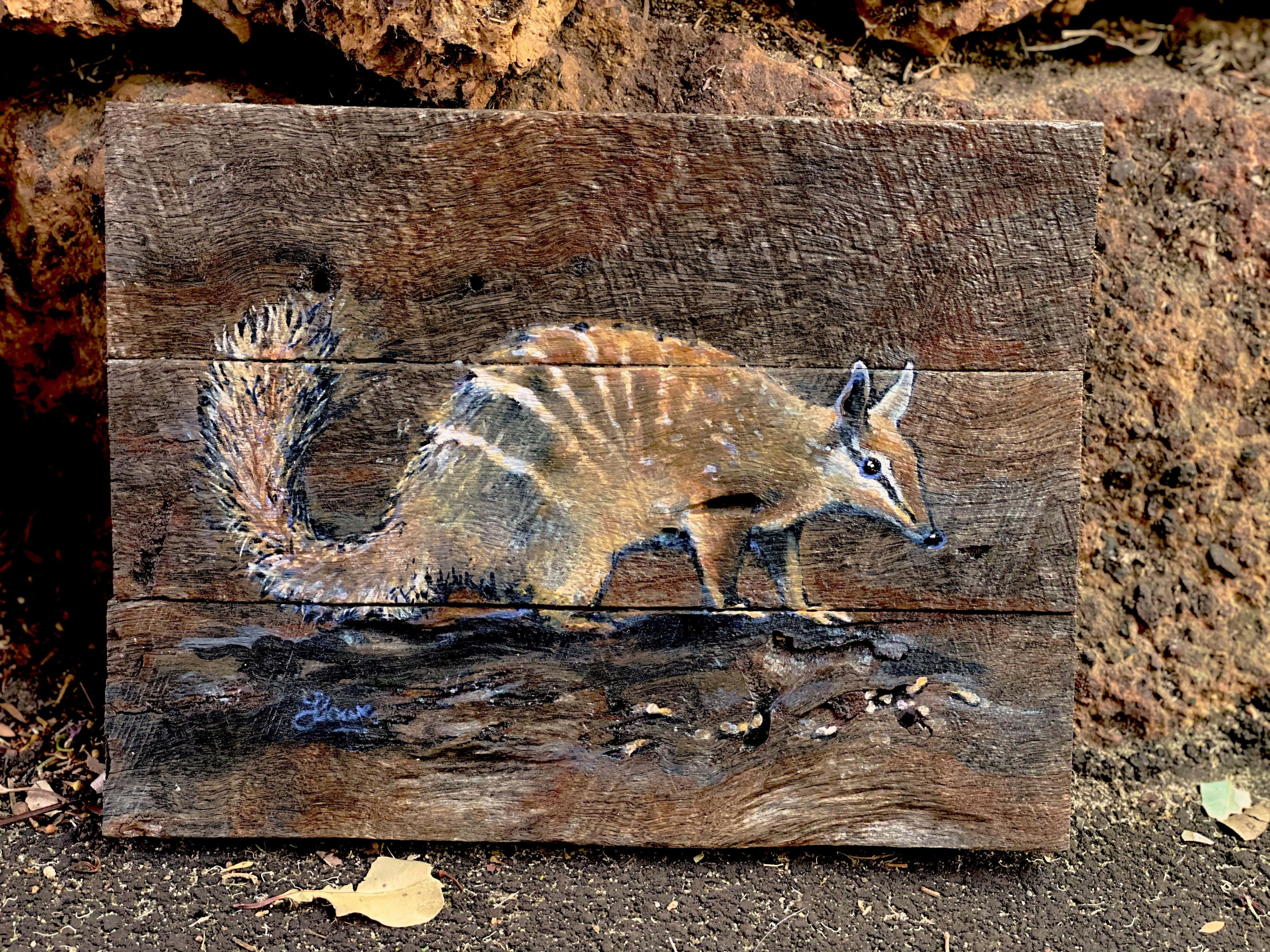 Numbat, wooden planks, striped animal, 4K Desktop Wallpaper