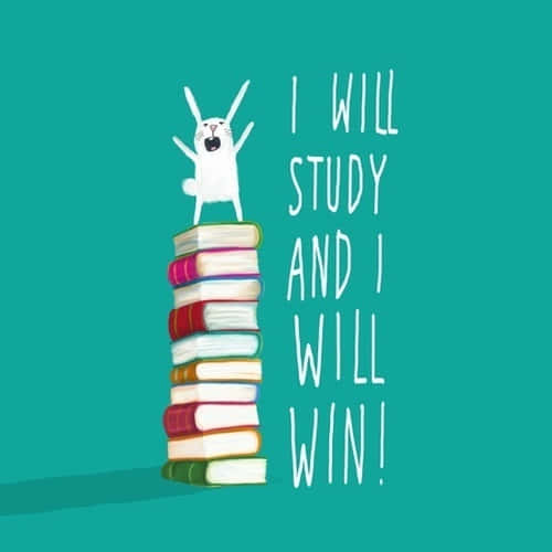 nurse phone 500 x 500, white cartoon rabbit, colorful stack of books, SD Desktop Wallpaper