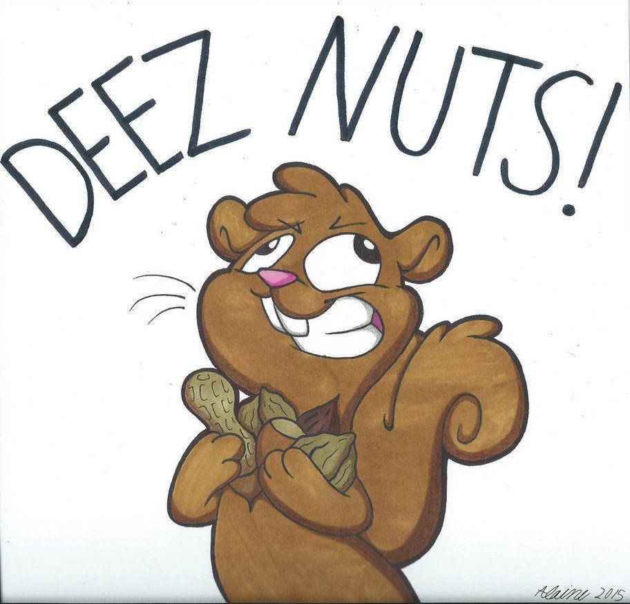 Deez Nuts Squirrel, cartoon squirrel, mischievous grin, SD Desktop Wallpaper