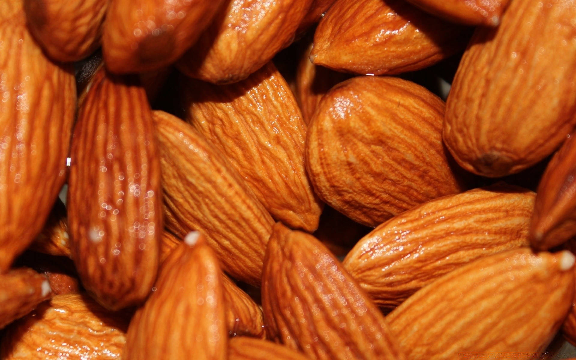 almond nuts, glossy brown, textured ridges, Full HD Desktop Wallpaper