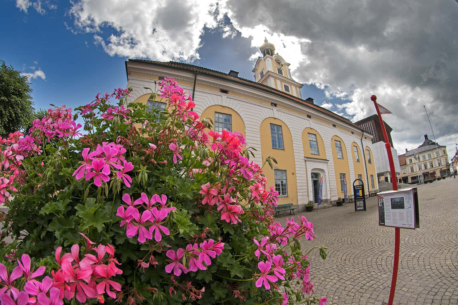 Nyköping, harbor, pink geraniums, HD Desktop Wallpaper