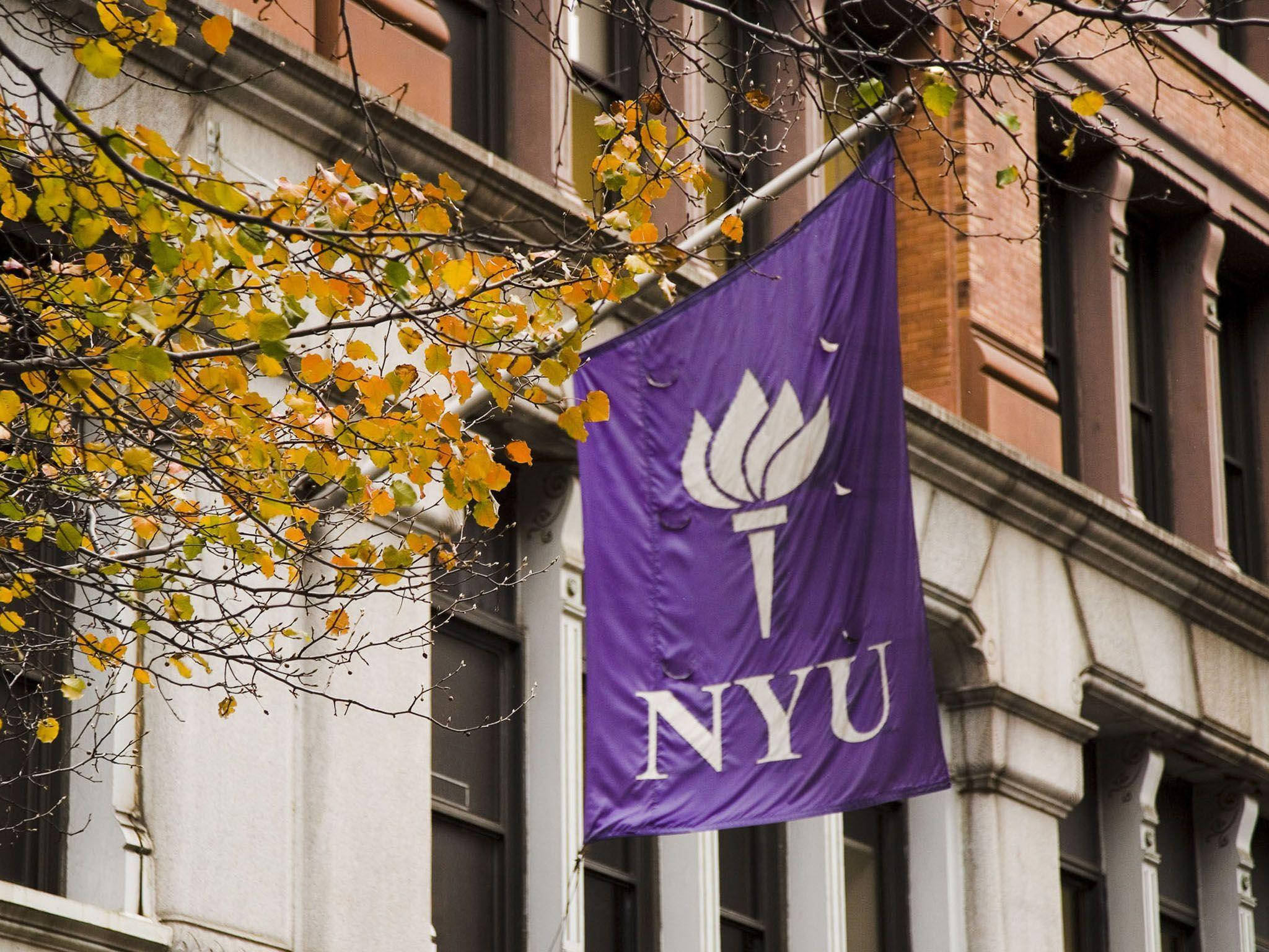 NYU, purple, white torch logo, Full HD Desktop Wallpaper