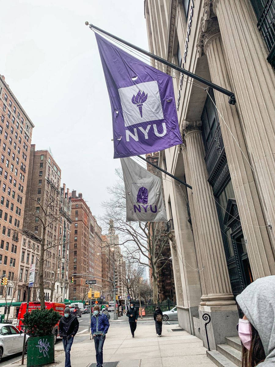 NYU, purple and white NYU flag, grand stone building, SD Phone Wallpaper