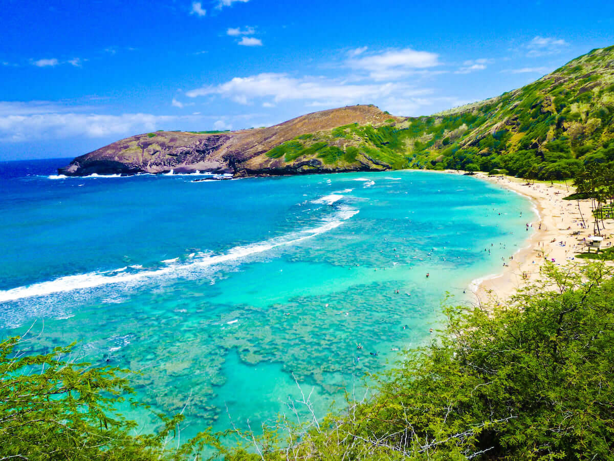 Oahu, turquoise bay, sandy beach, SD Desktop Wallpaper