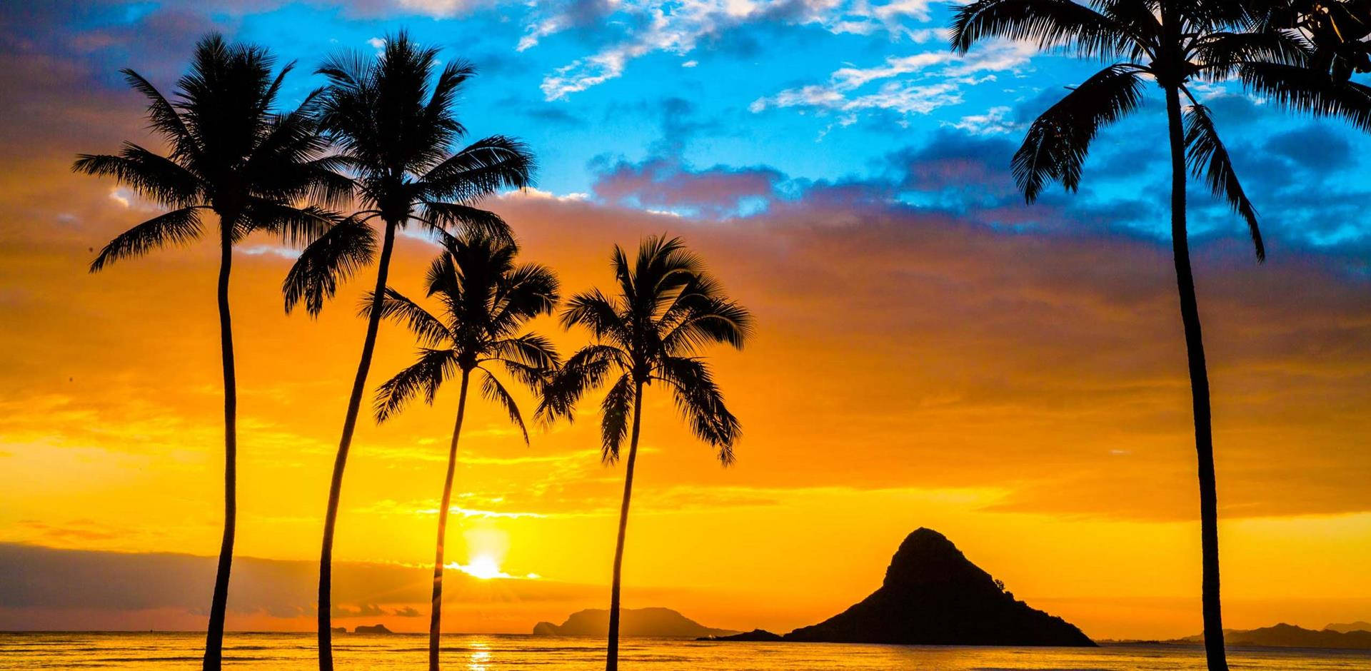 Oahu, vibrant sunset, palm trees, Full HD Desktop Wallpaper