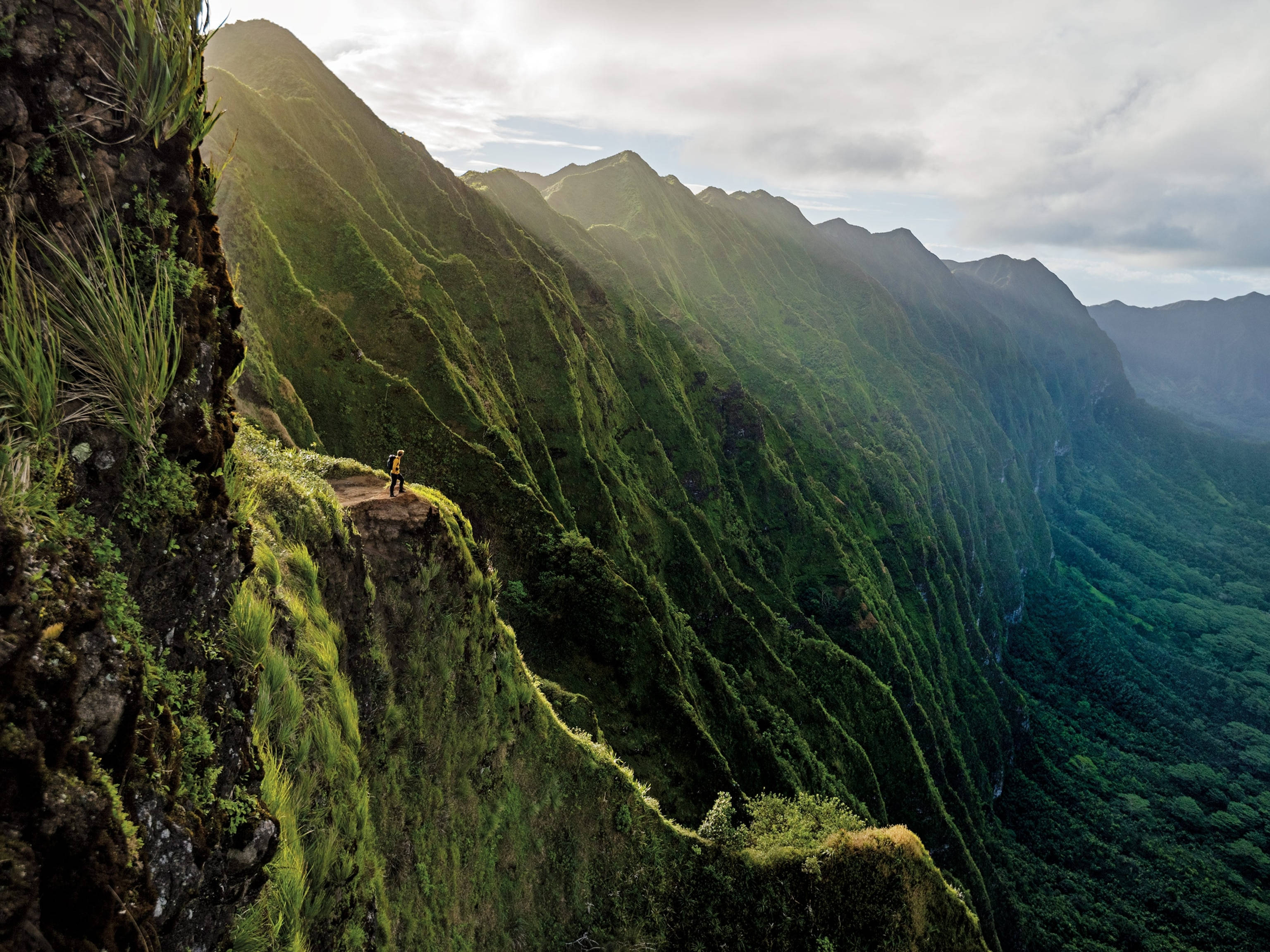 Oahu, emerald valley, narrow cliff trail, 2K Desktop Wallpaper