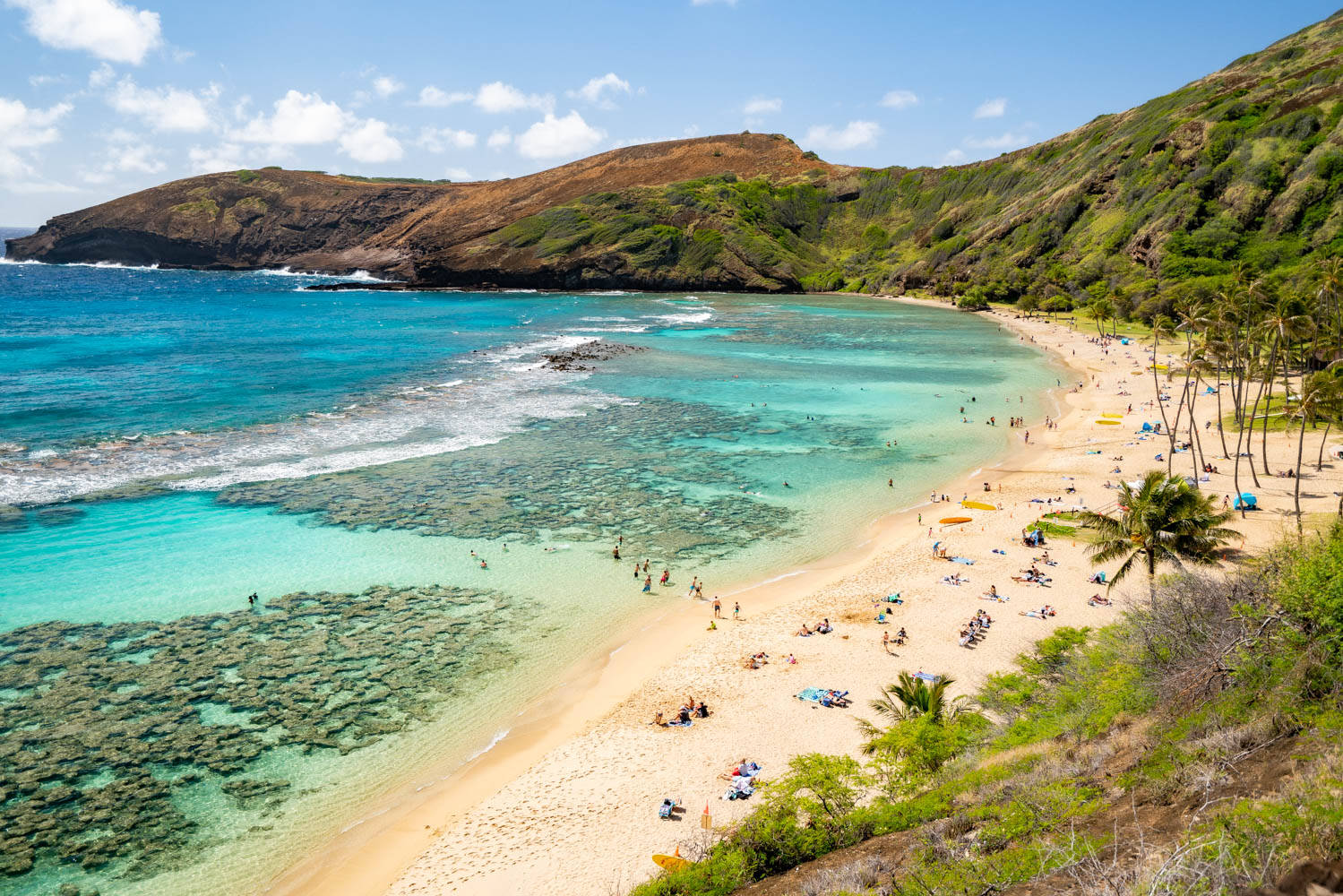 Oahu, beach, turquoise waters, HD Desktop Wallpaper