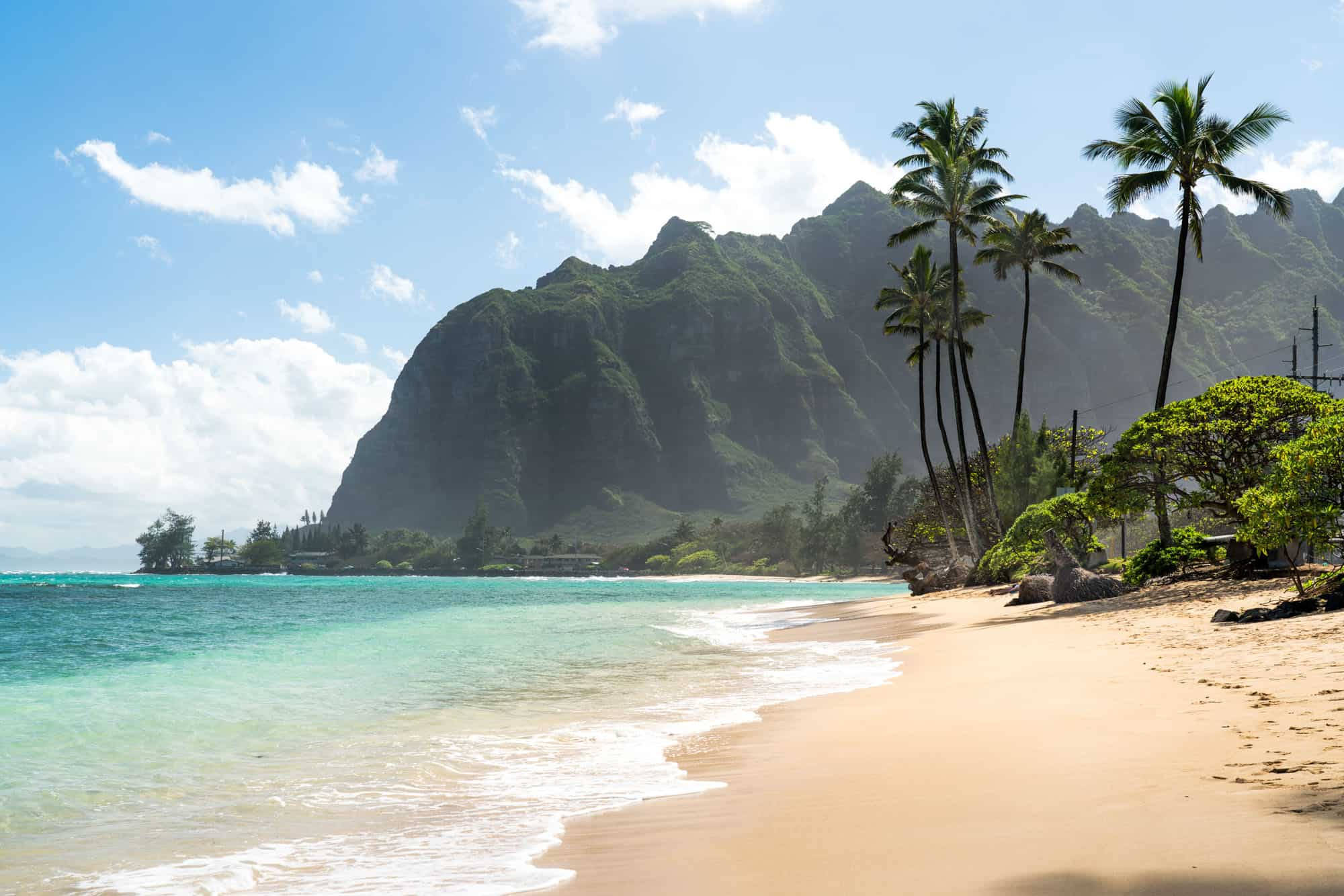 Oahu, turquoise waters, palm trees, Full HD Desktop Wallpaper