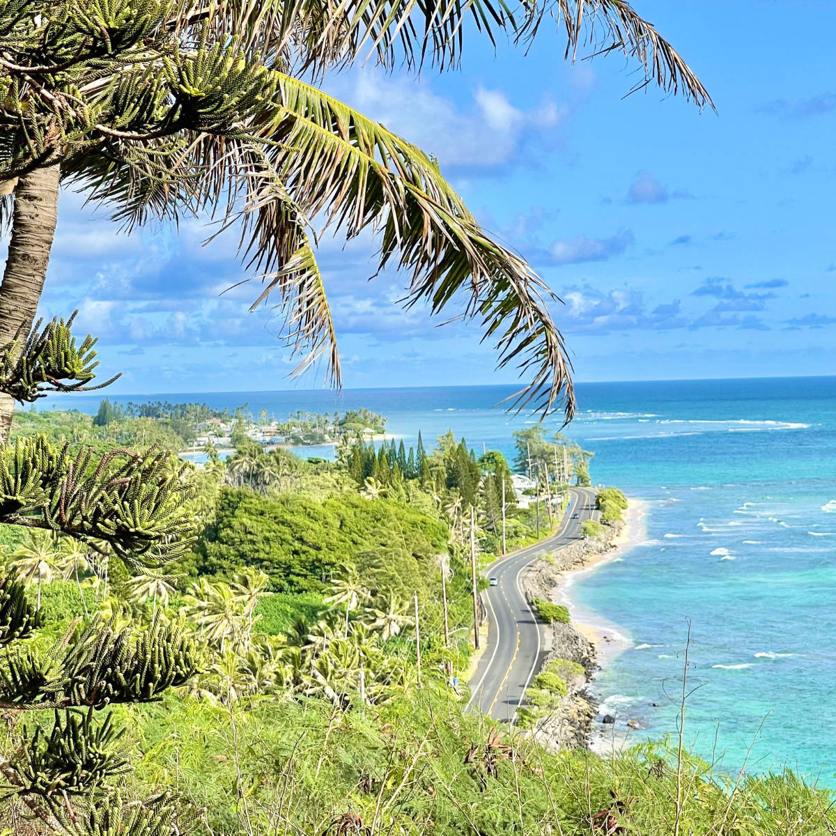 Oahu, coastal road, turquoise waters, SD Desktop Wallpaper