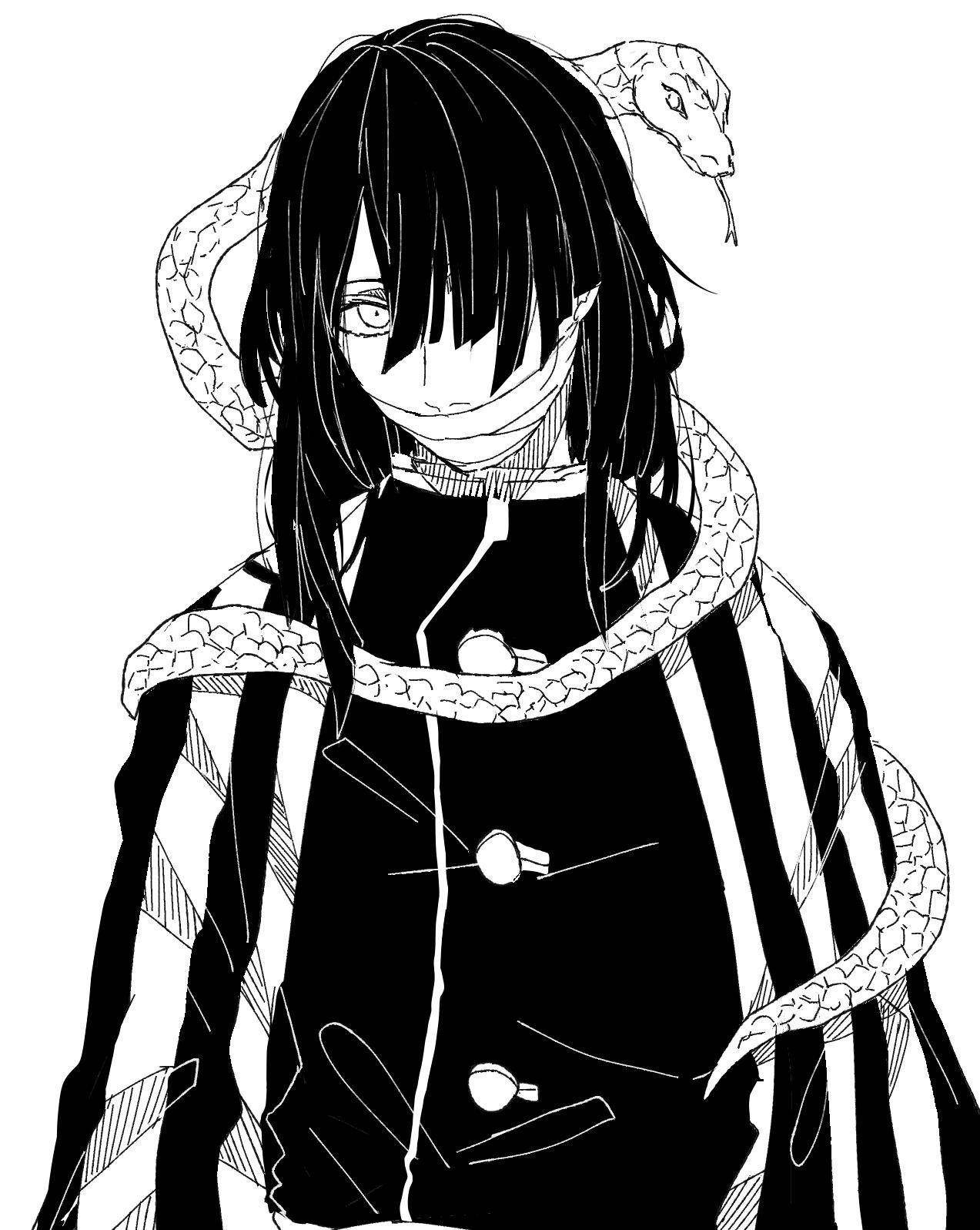 Obanai Iguro, snake, long hair, HD Phone Wallpaper