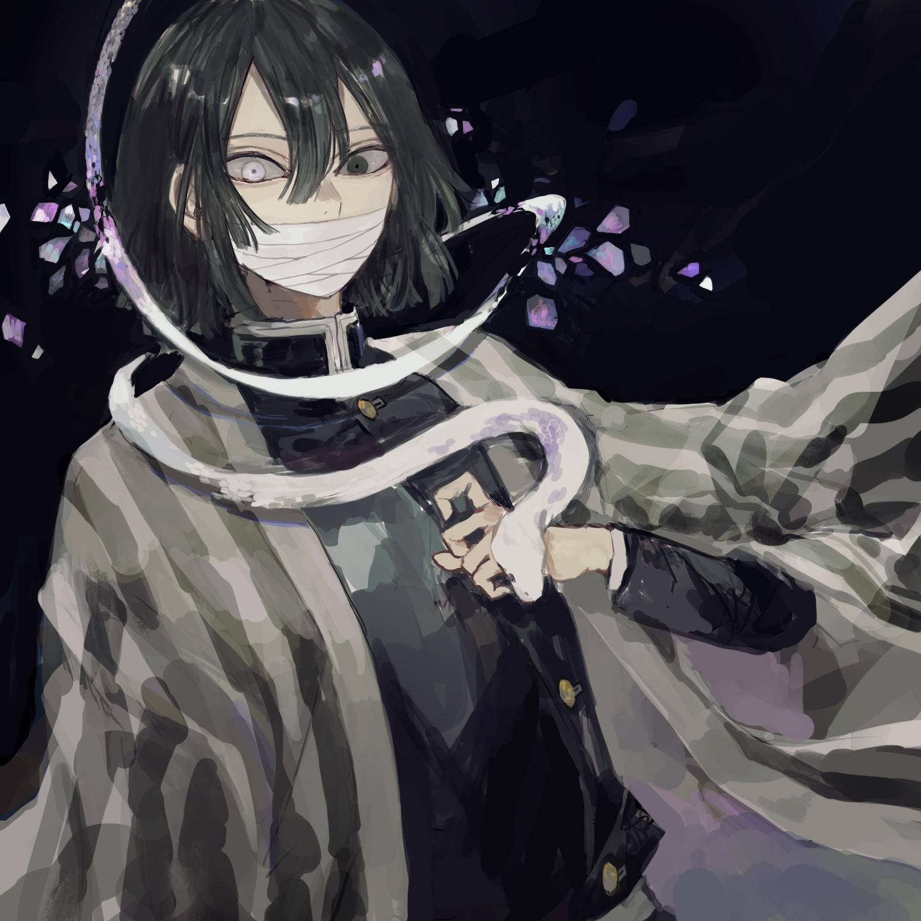 Obanai Iguro, dark grey outfit, white snake, HD Desktop Wallpaper
