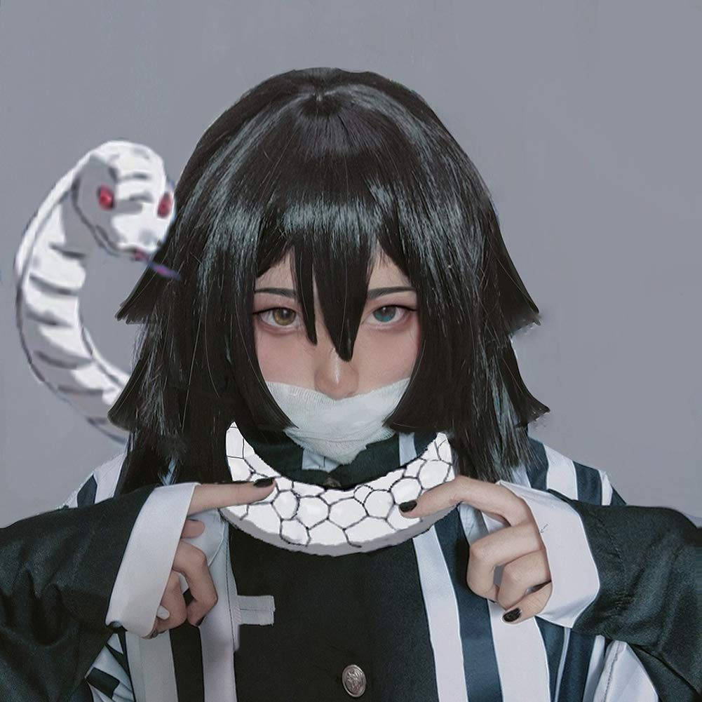 Obanai Iguro, black and white striped outfit, snake-themed mask, SD Desktop Wallpaper